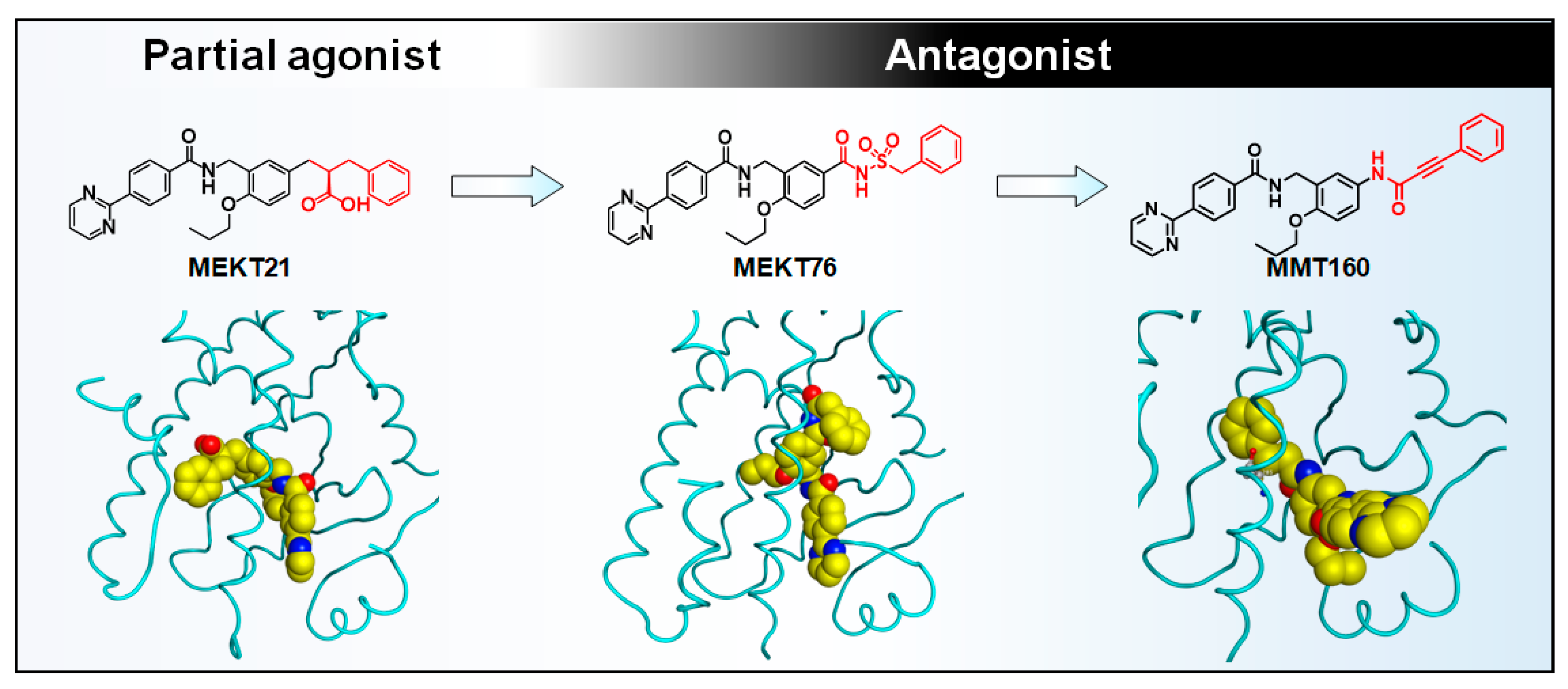 Ijms 24 03940 g012 Ijms 24 03940 g012
