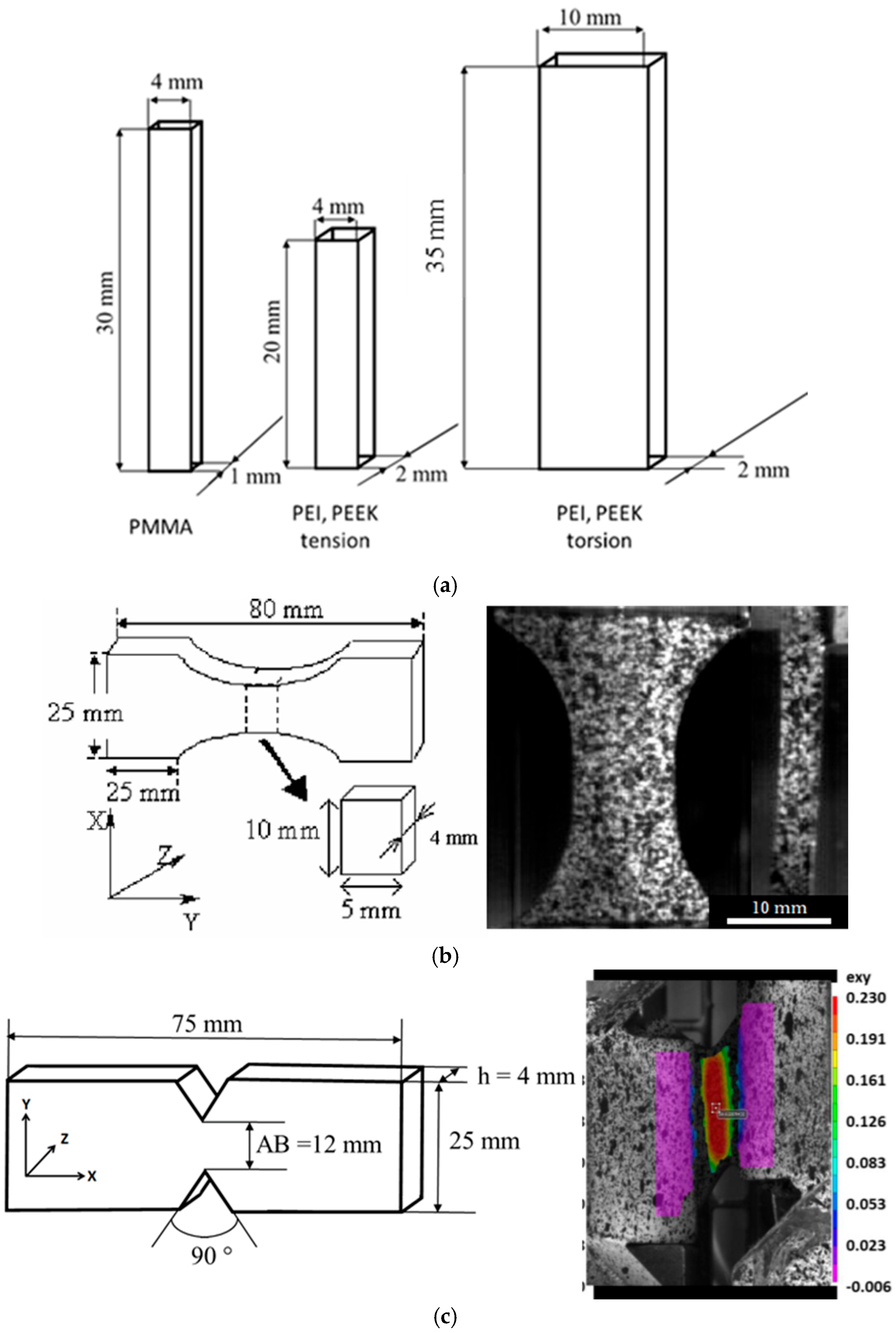 Ijms 24 03944 g009 Ijms 24 03944 g009
