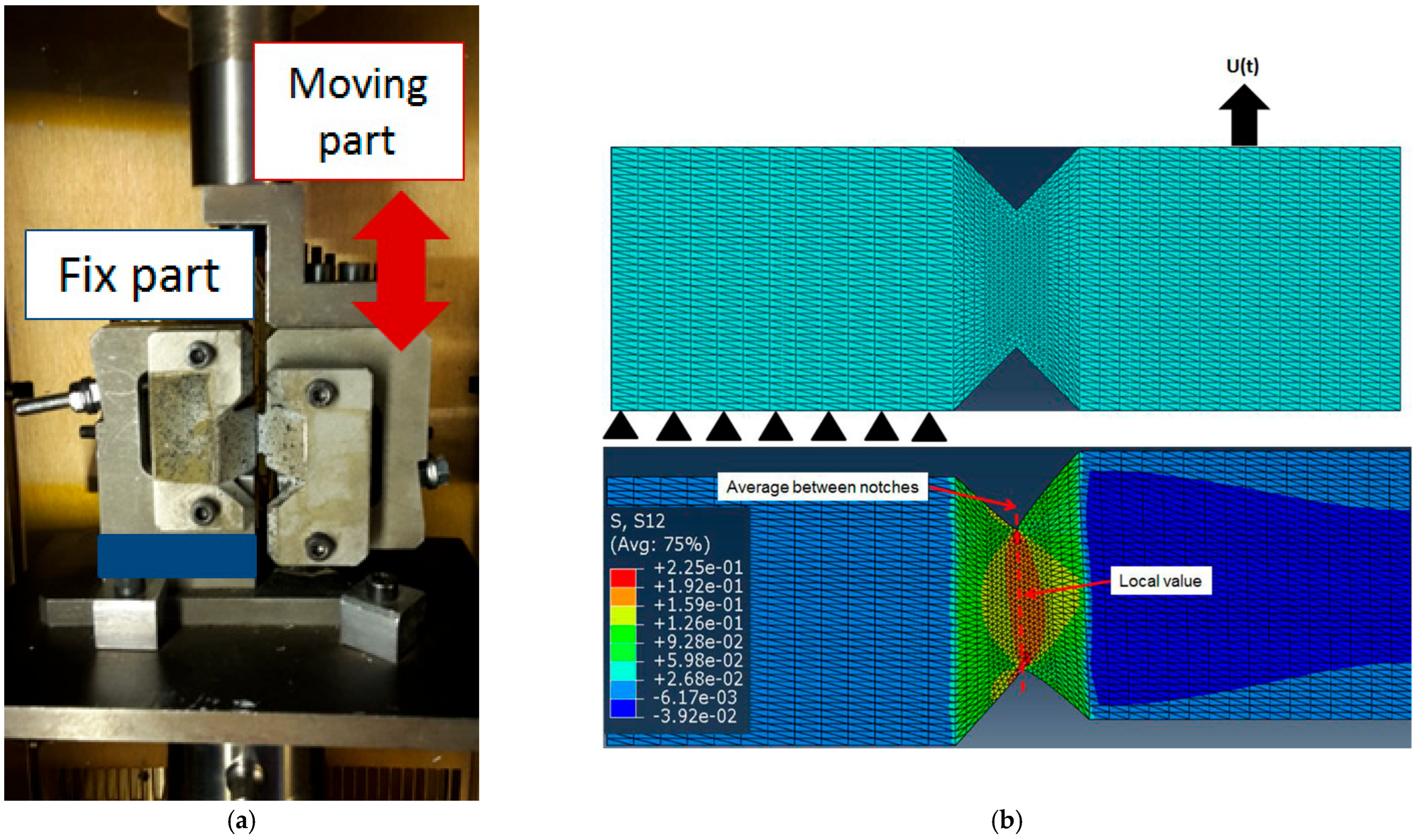 Ijms 24 03944 g010 Ijms 24 03944 g010