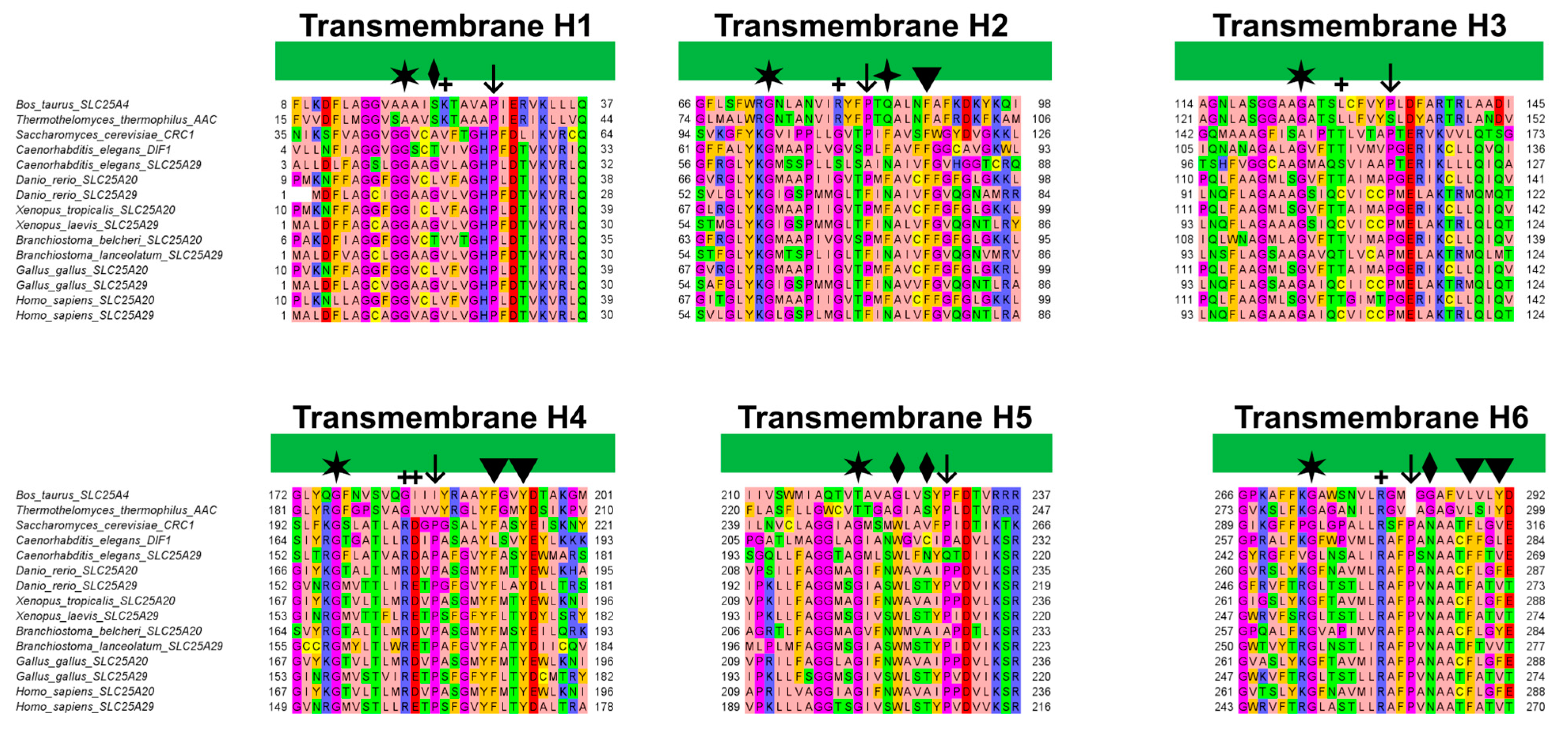 Ijms 24 03946 g007 Ijms 24 03946 g007