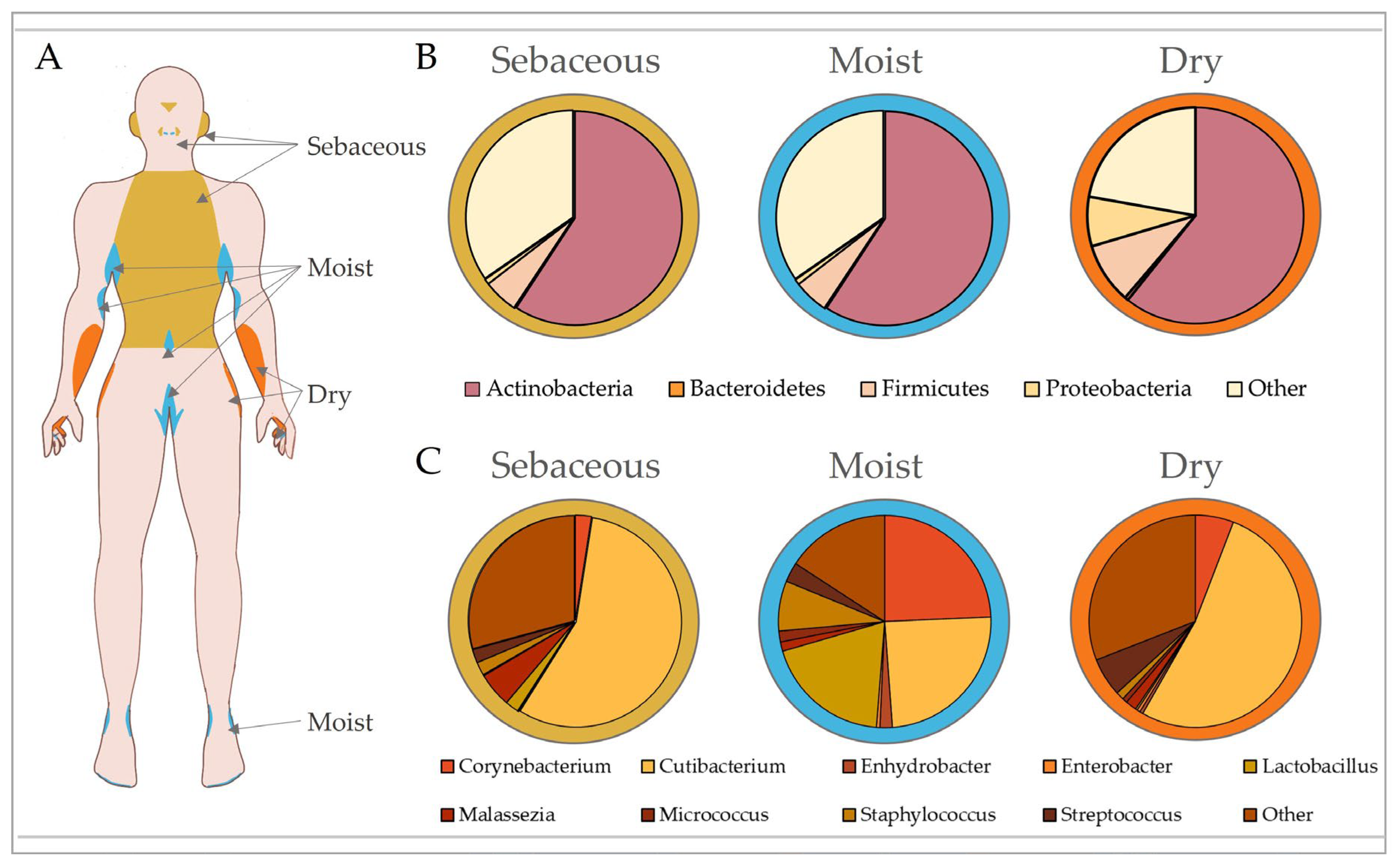 Ijms 24 03950 g002 Ijms 24 03950 g002