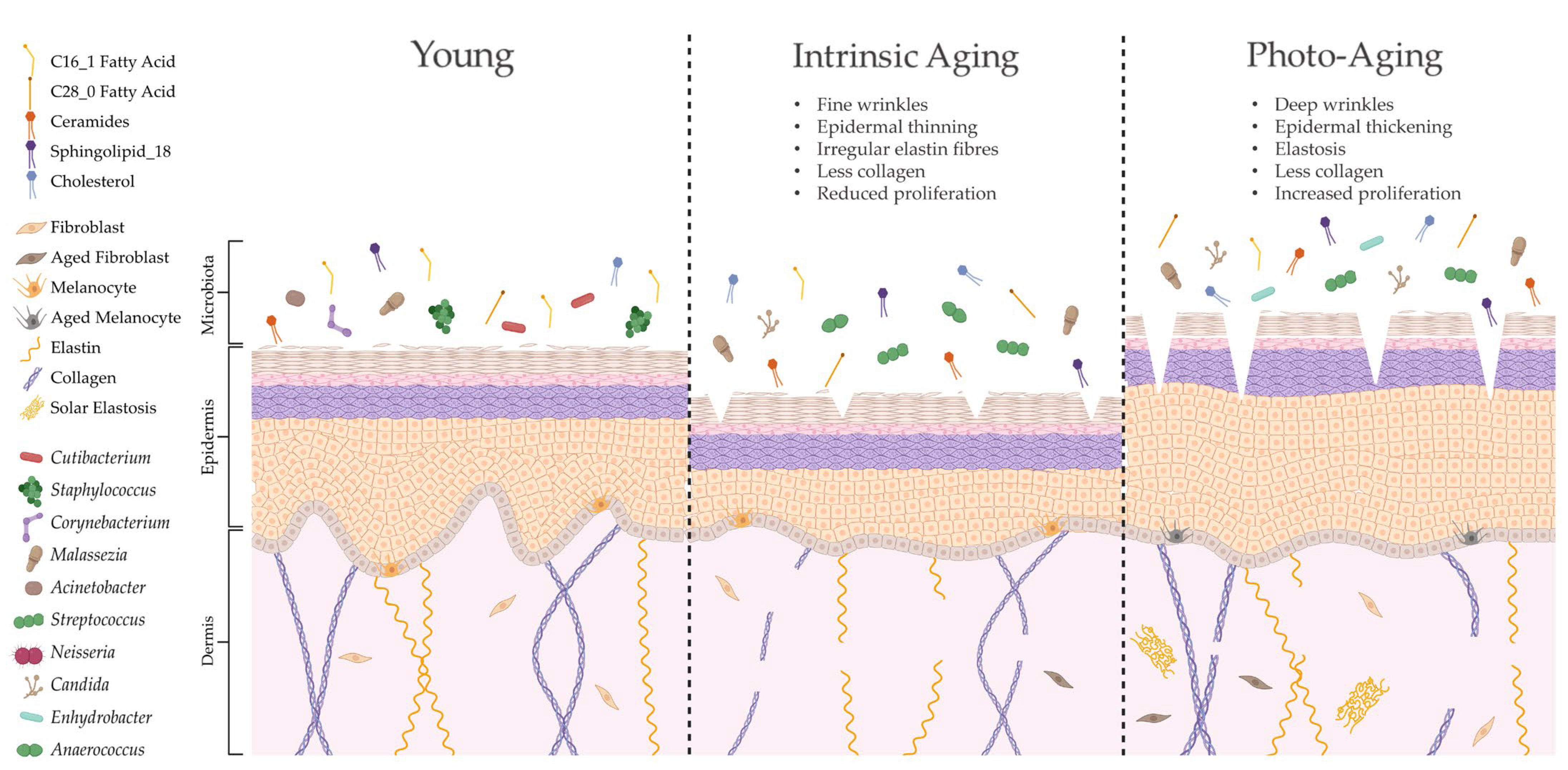 Ijms 24 03950 g003 Ijms 24 03950 g003