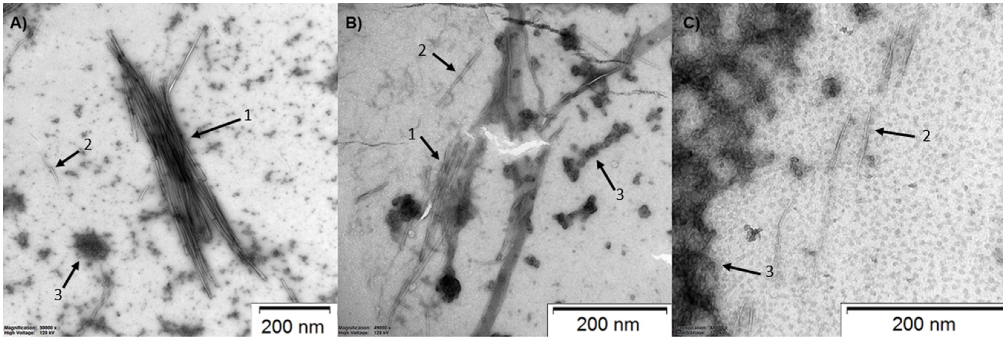 Ijms 24 03951 g001 Ijms 24 03951 g001