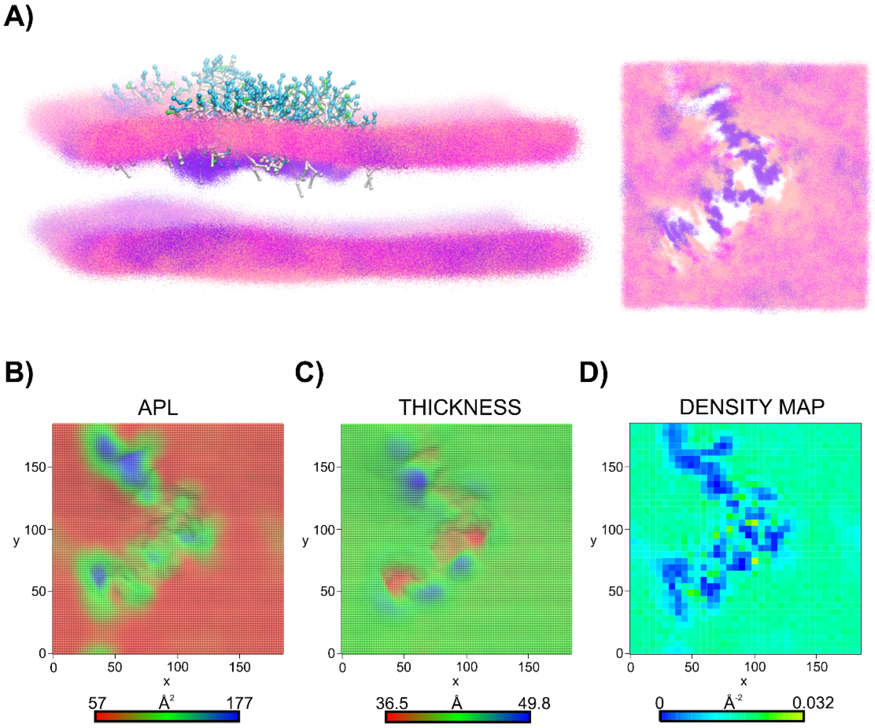 Ijms 24 03951 g008 Ijms 24 03951 g008