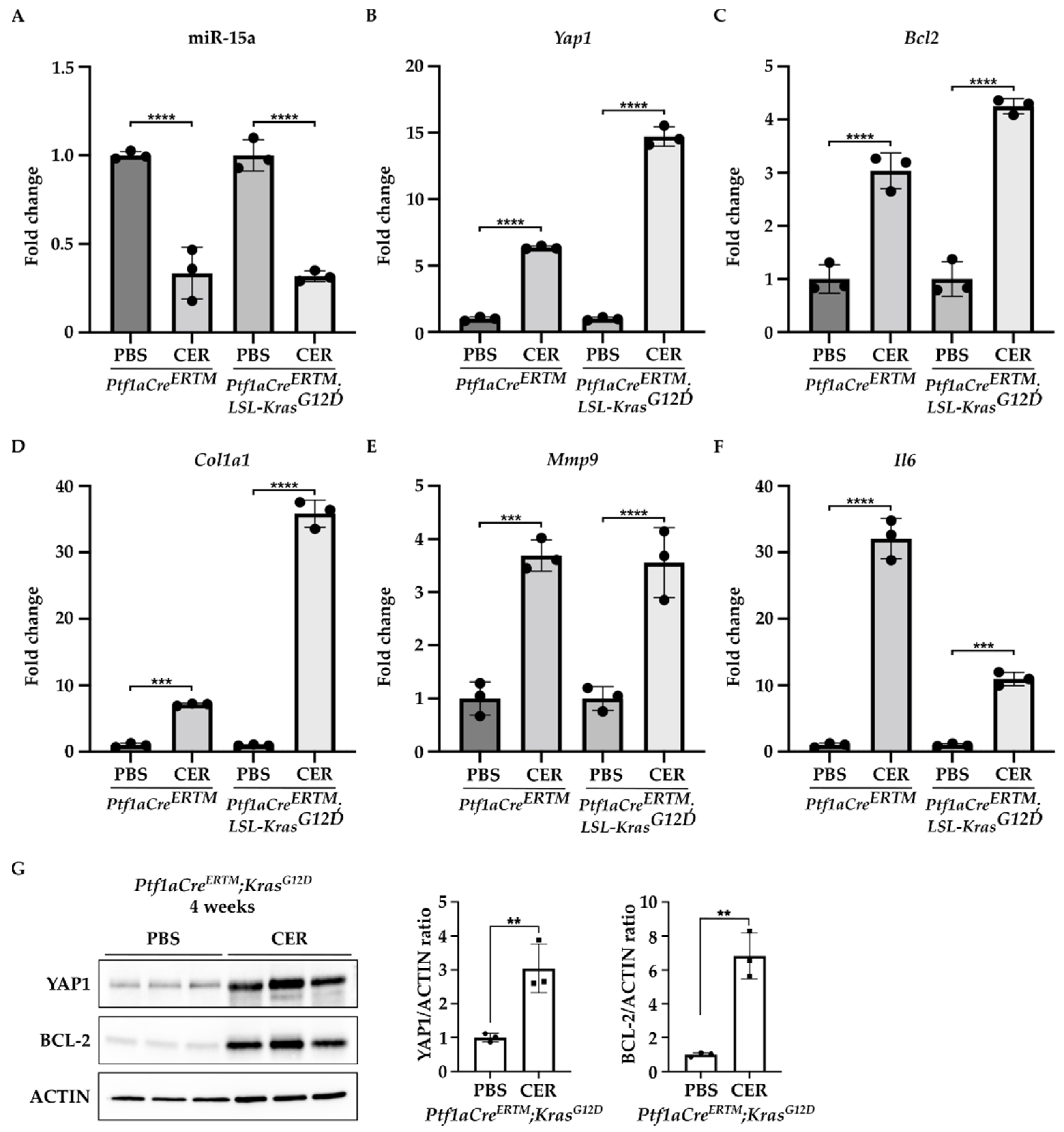 Ijms 24 03954 g002 Ijms 24 03954 g002