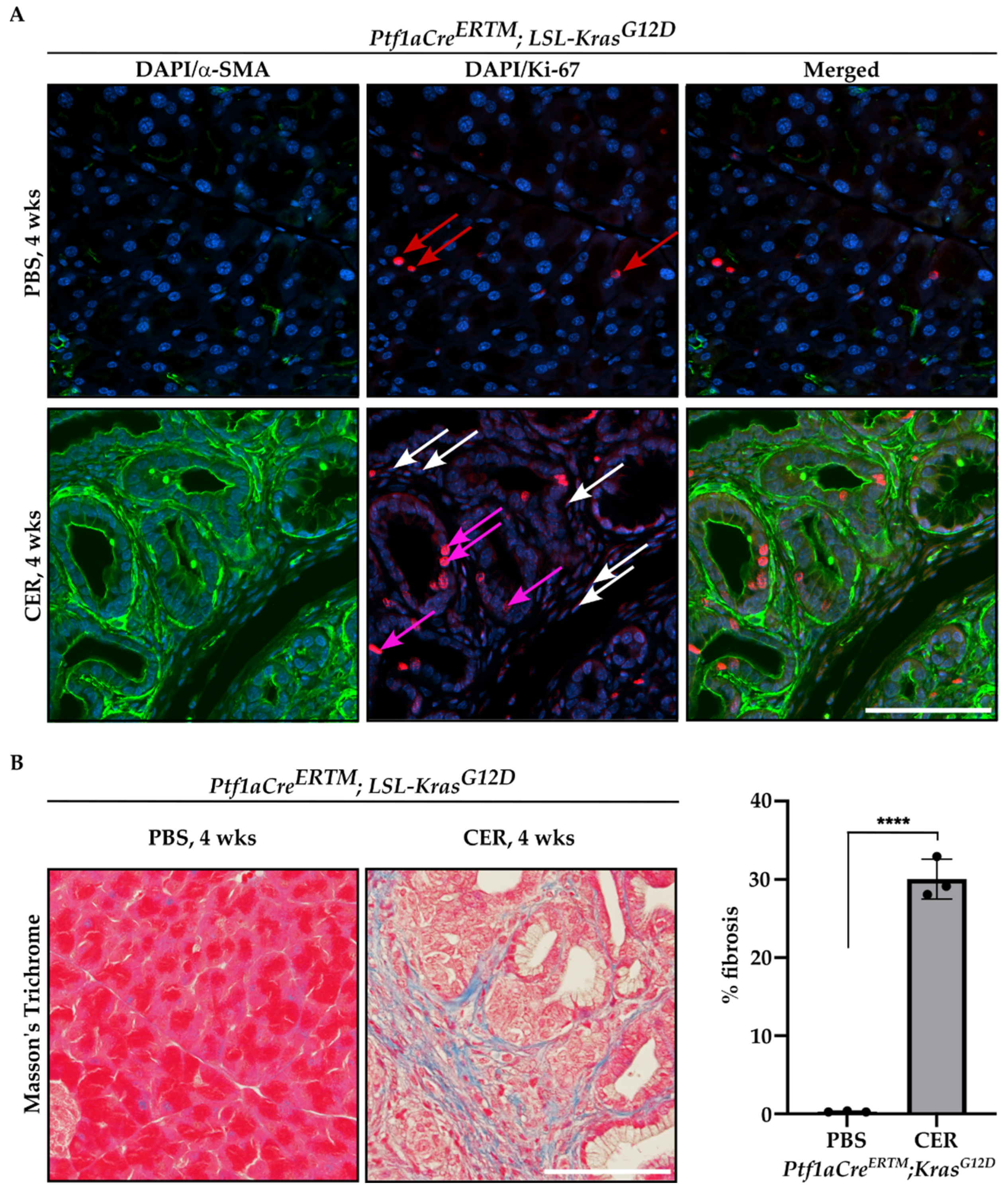 Ijms 24 03954 g003 Ijms 24 03954 g003
