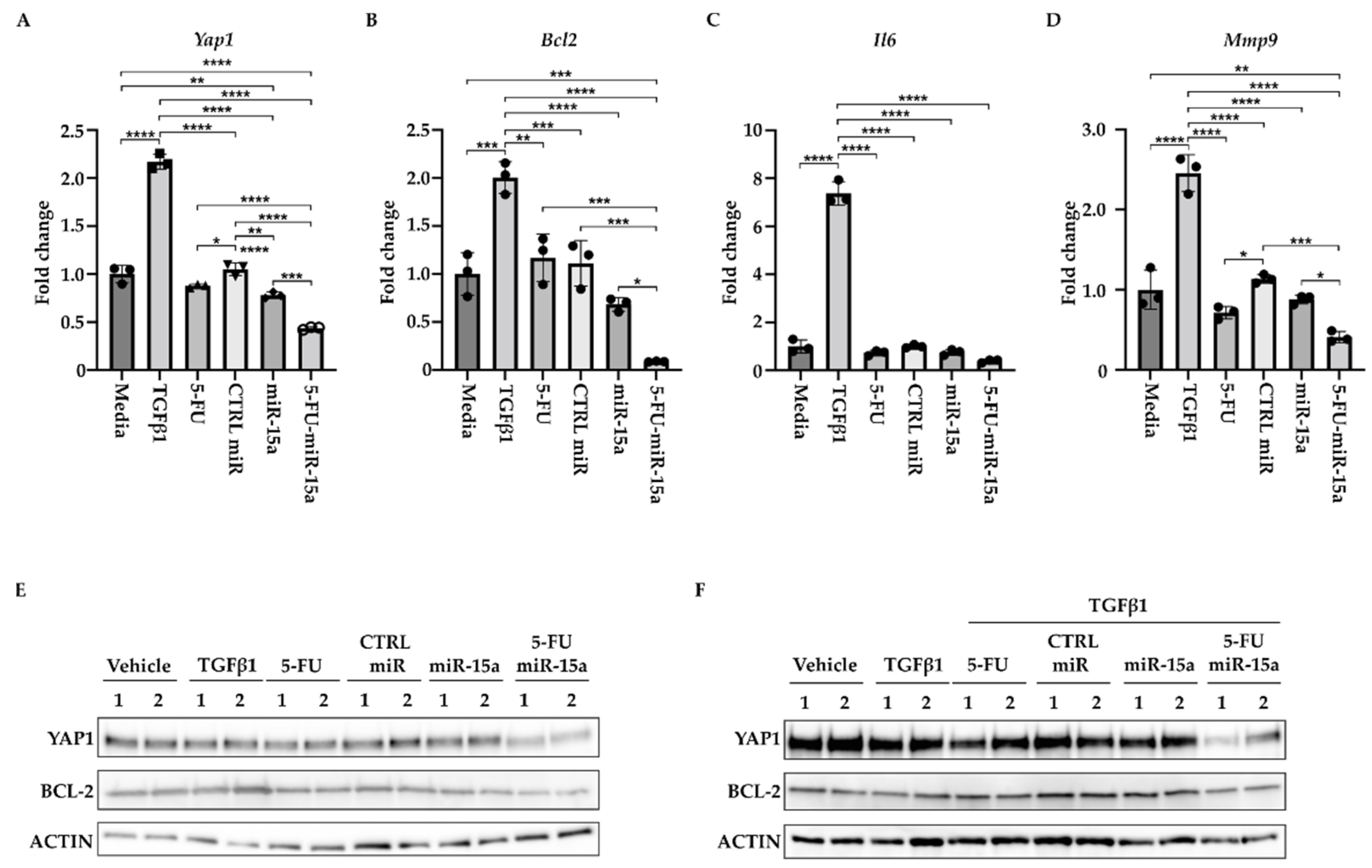 Ijms 24 03954 g009 Ijms 24 03954 g009