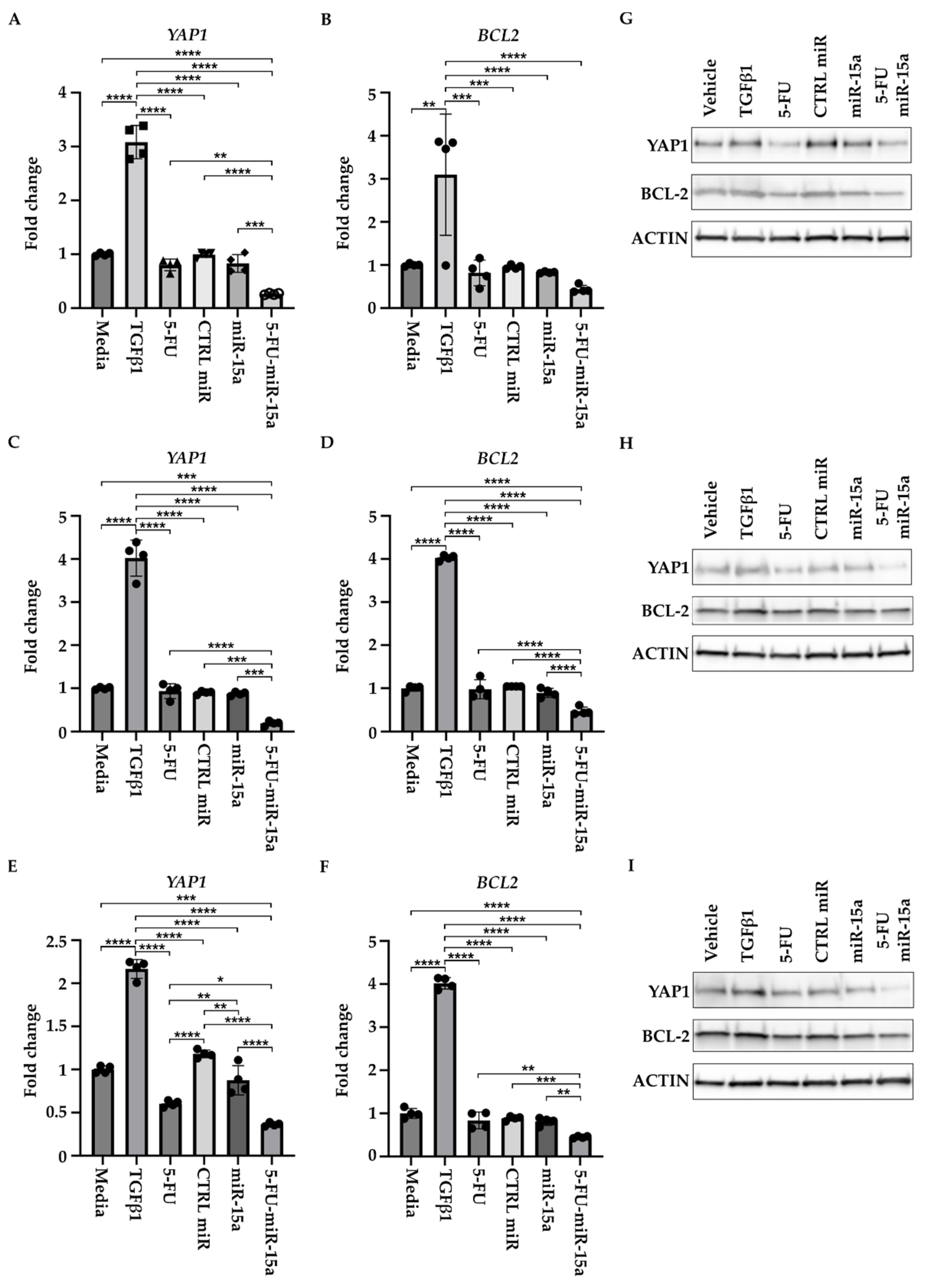 Ijms 24 03954 g011 Ijms 24 03954 g011