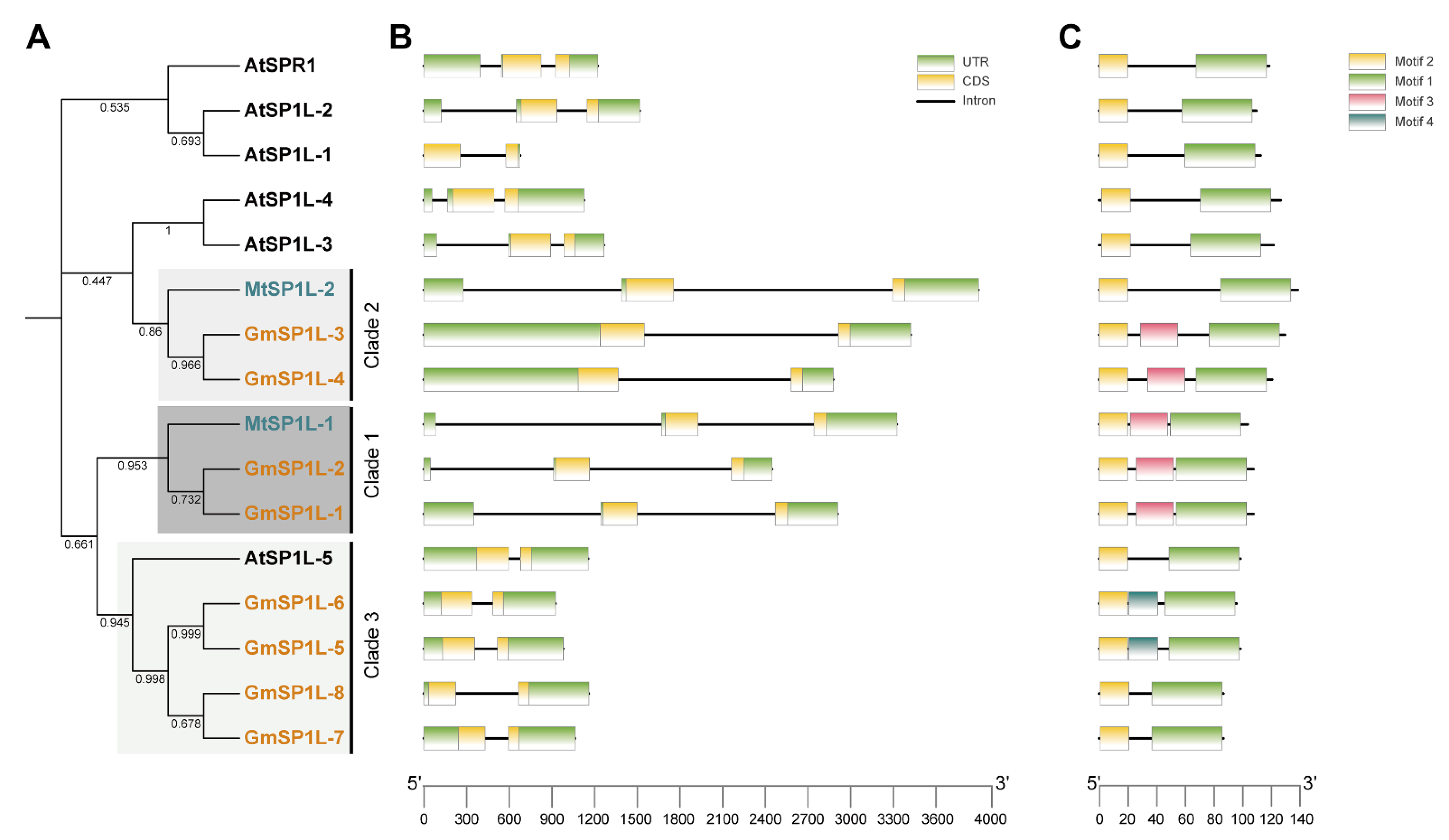 Ijms 24 03958 g003 Ijms 24 03958 g003