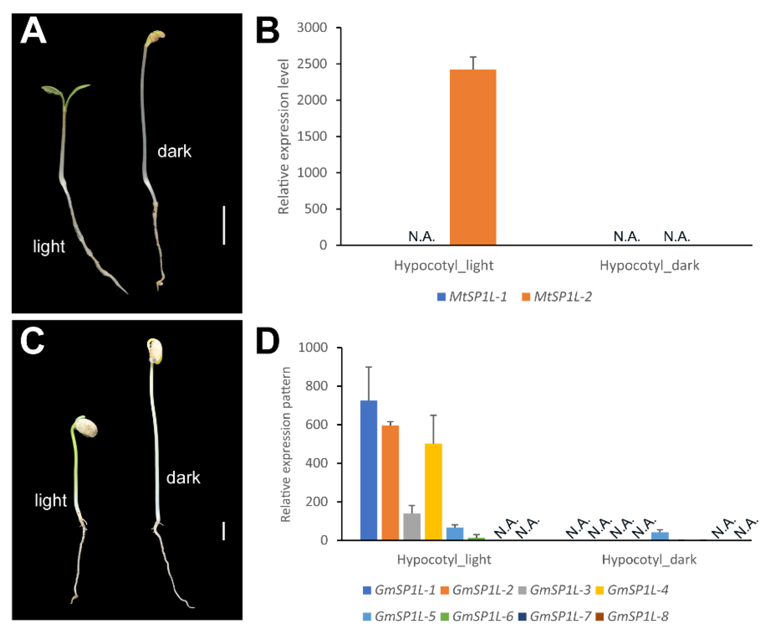 Ijms 24 03958 g007 Ijms 24 03958 g007