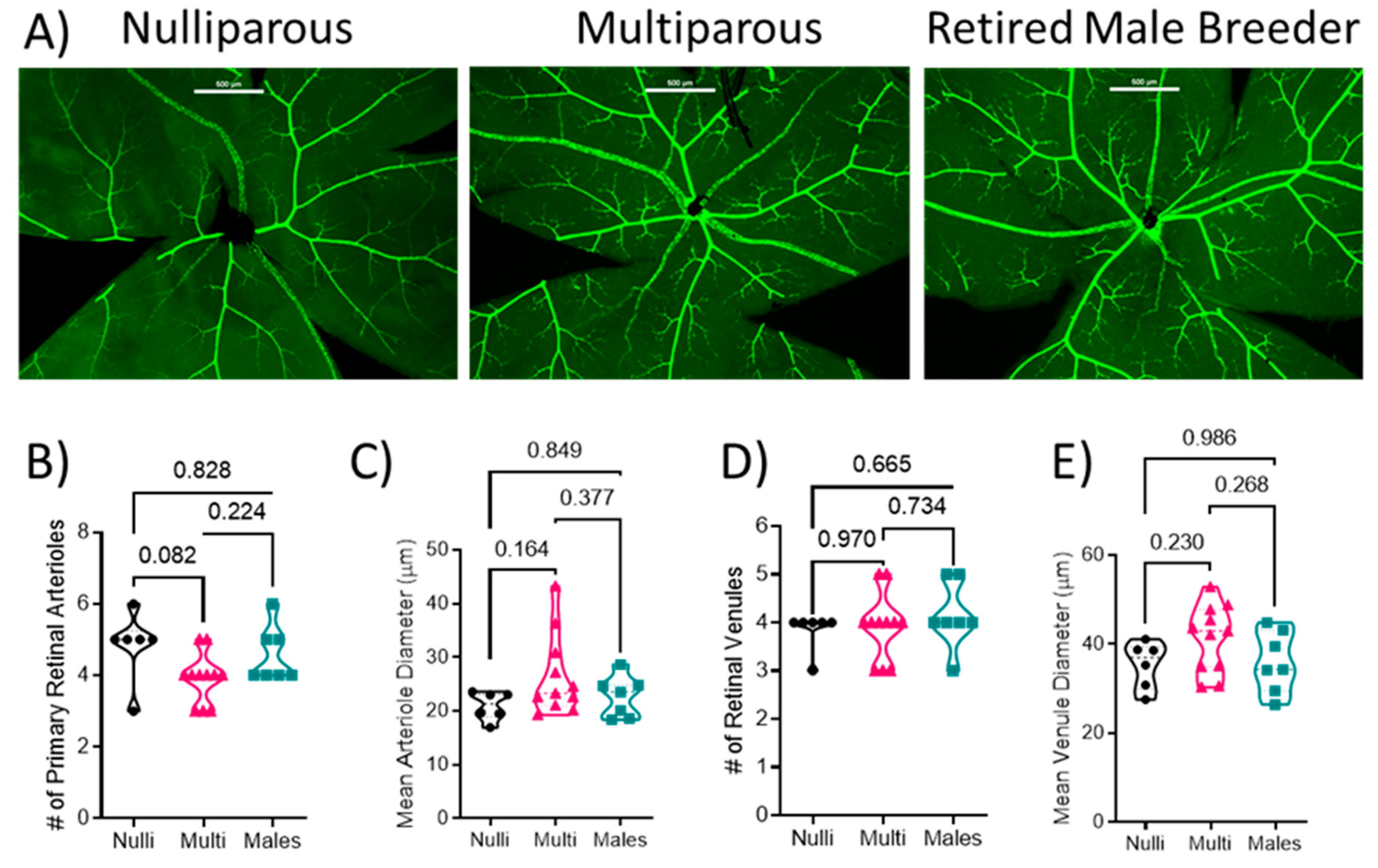Ijms 24 03967 g001 Ijms 24 03967 g001