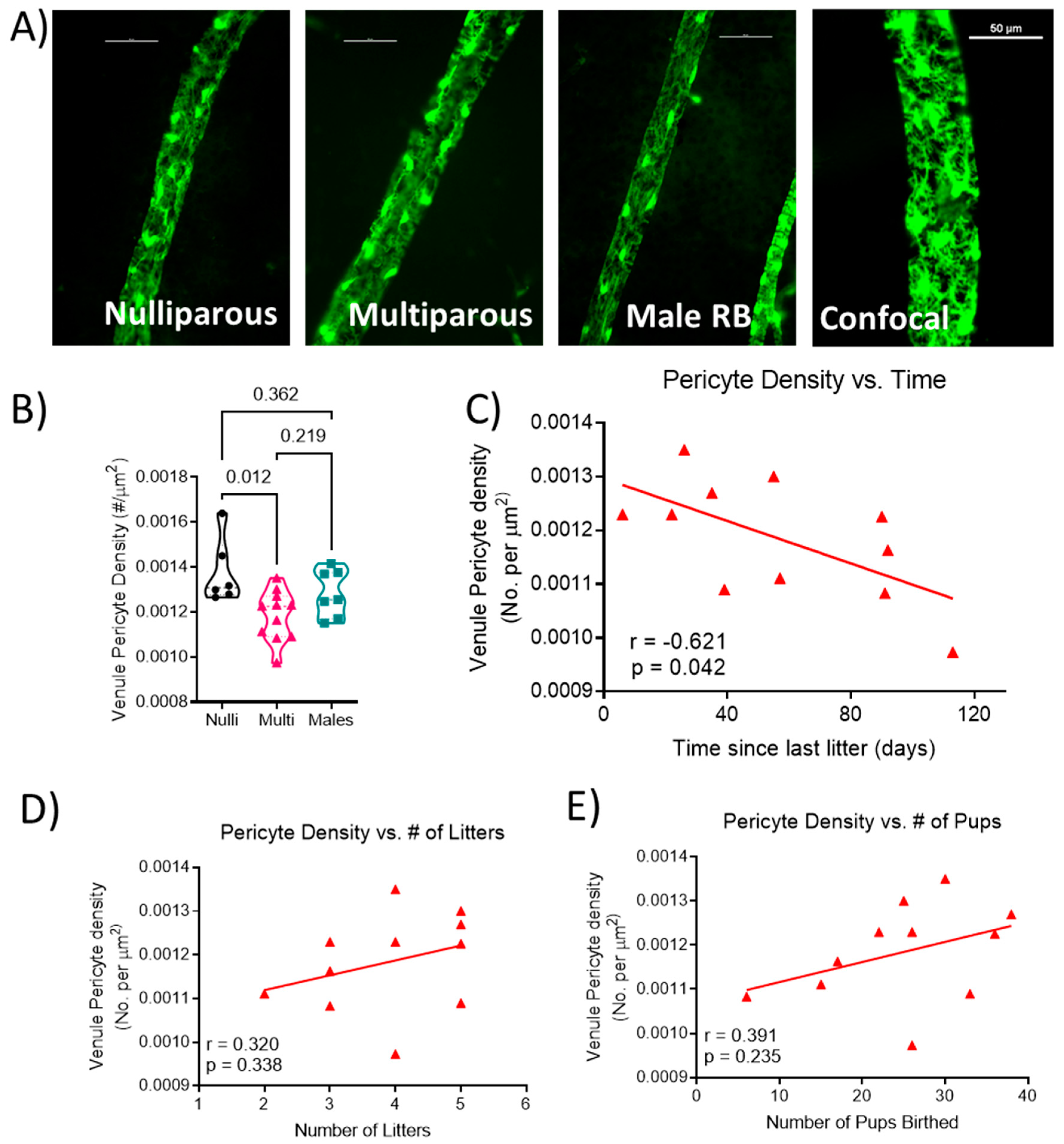 Ijms 24 03967 g002 Ijms 24 03967 g002