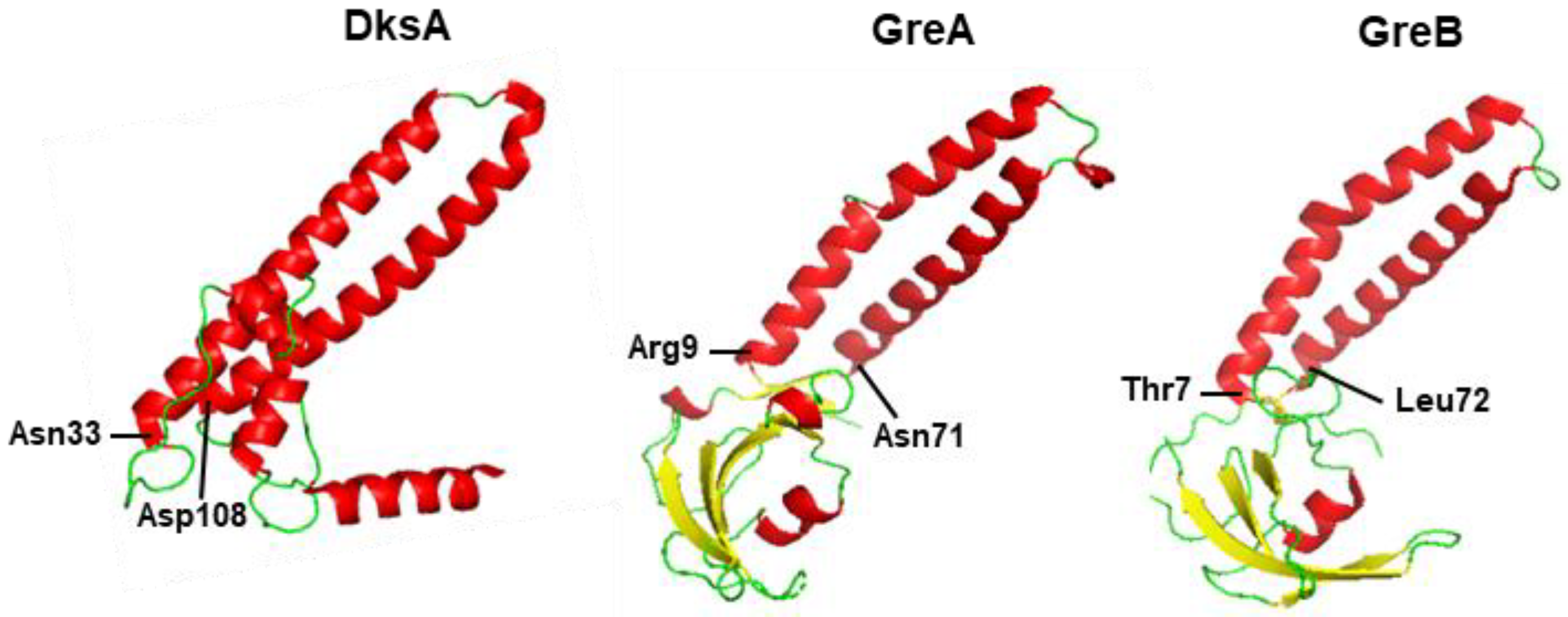 Ijms 24 03999 g002 Ijms 24 03999 g002