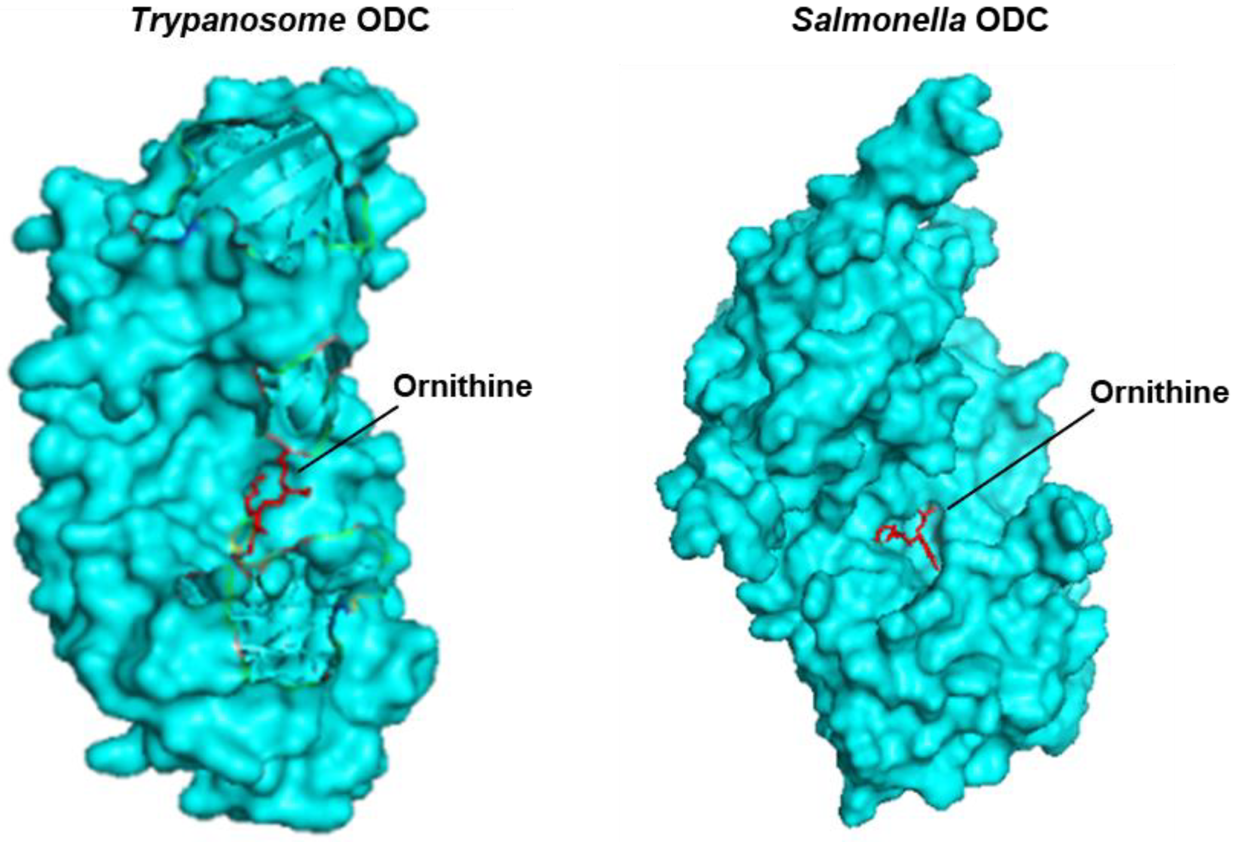 Ijms 24 03999 g004 Ijms 24 03999 g004