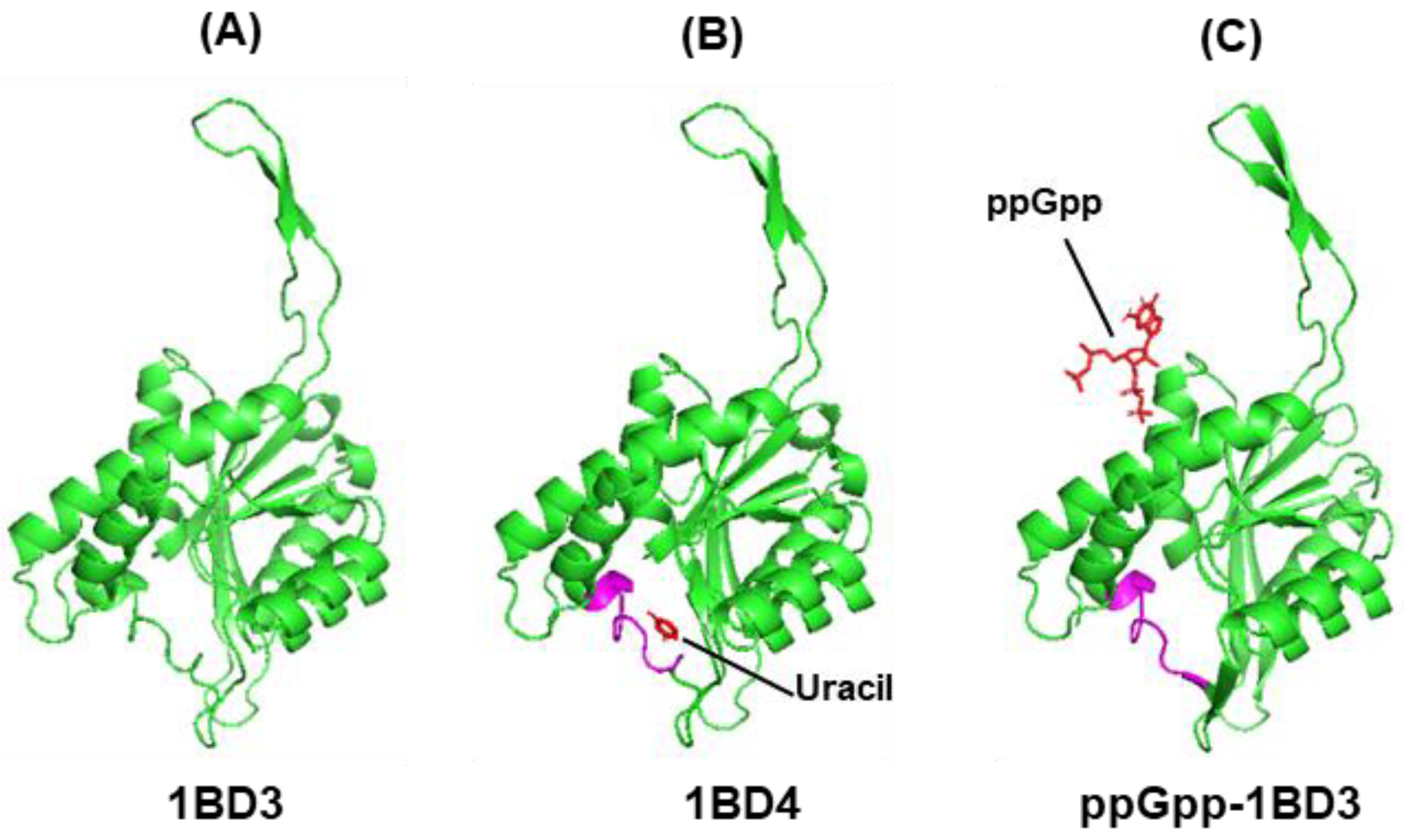 Ijms 24 03999 g006 Ijms 24 03999 g006