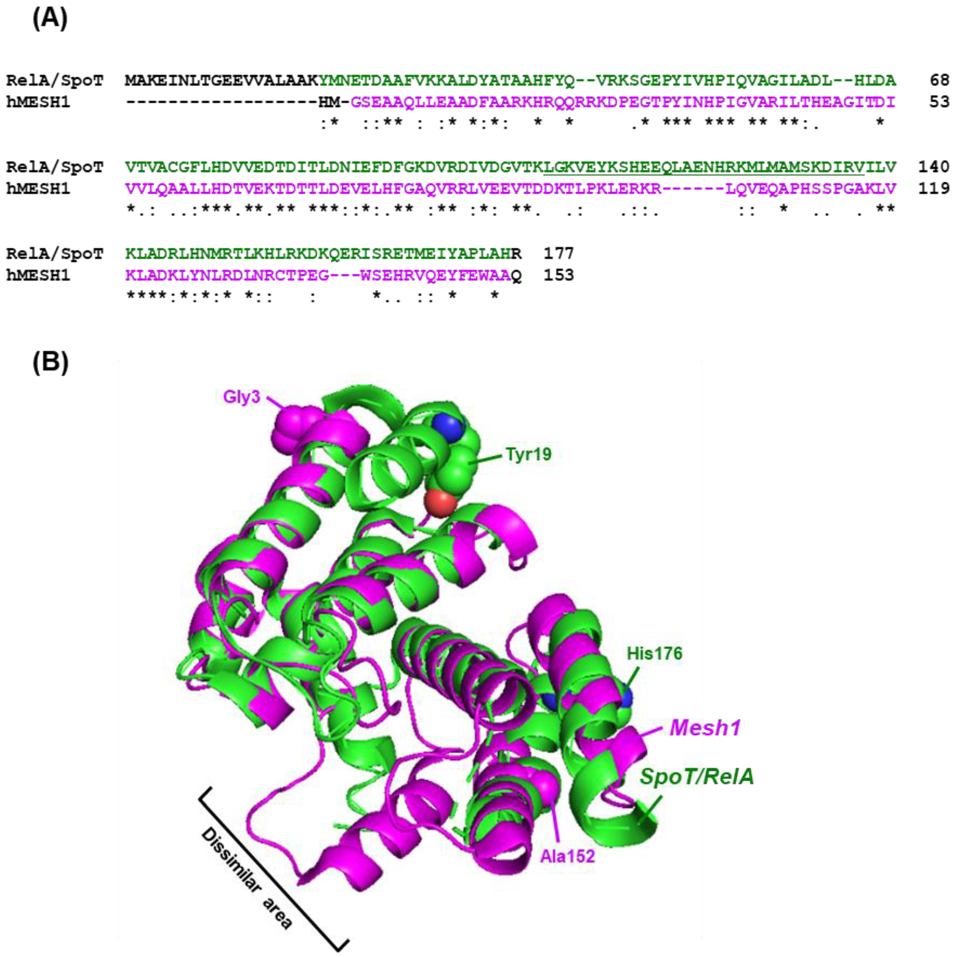 Ijms 24 03999 g007 Ijms 24 03999 g007