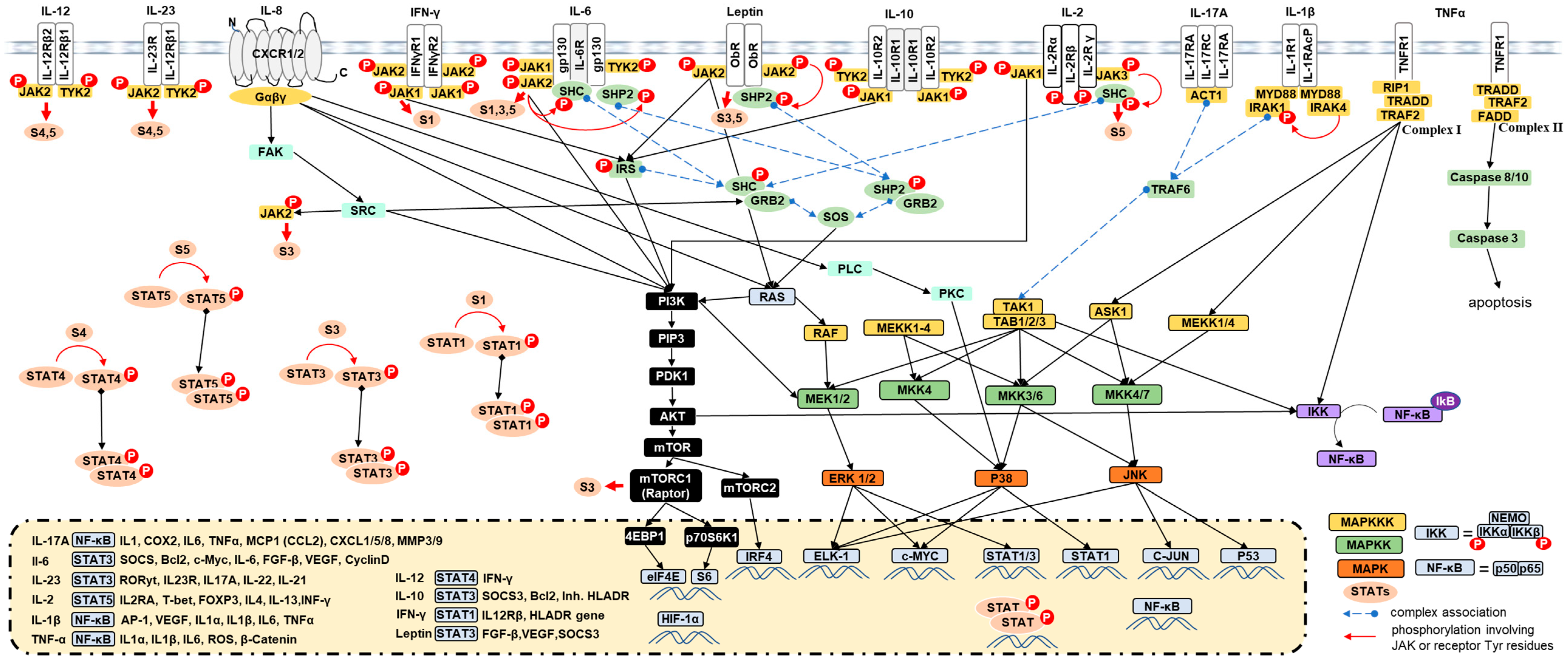 Ijms 24 04002 g001 Ijms 24 04002 g001