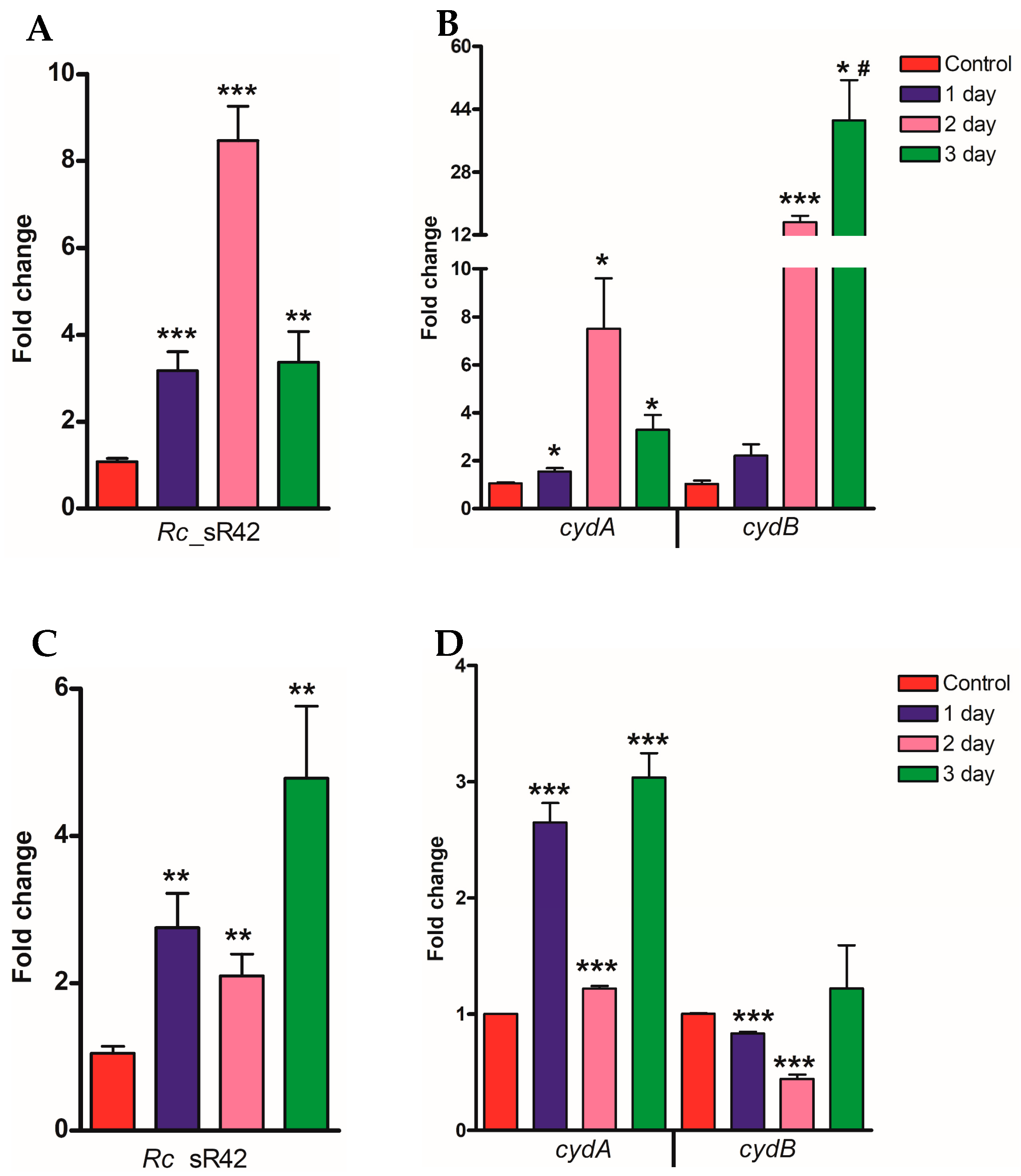 Ijms 24 04008 g002 Ijms 24 04008 g002
