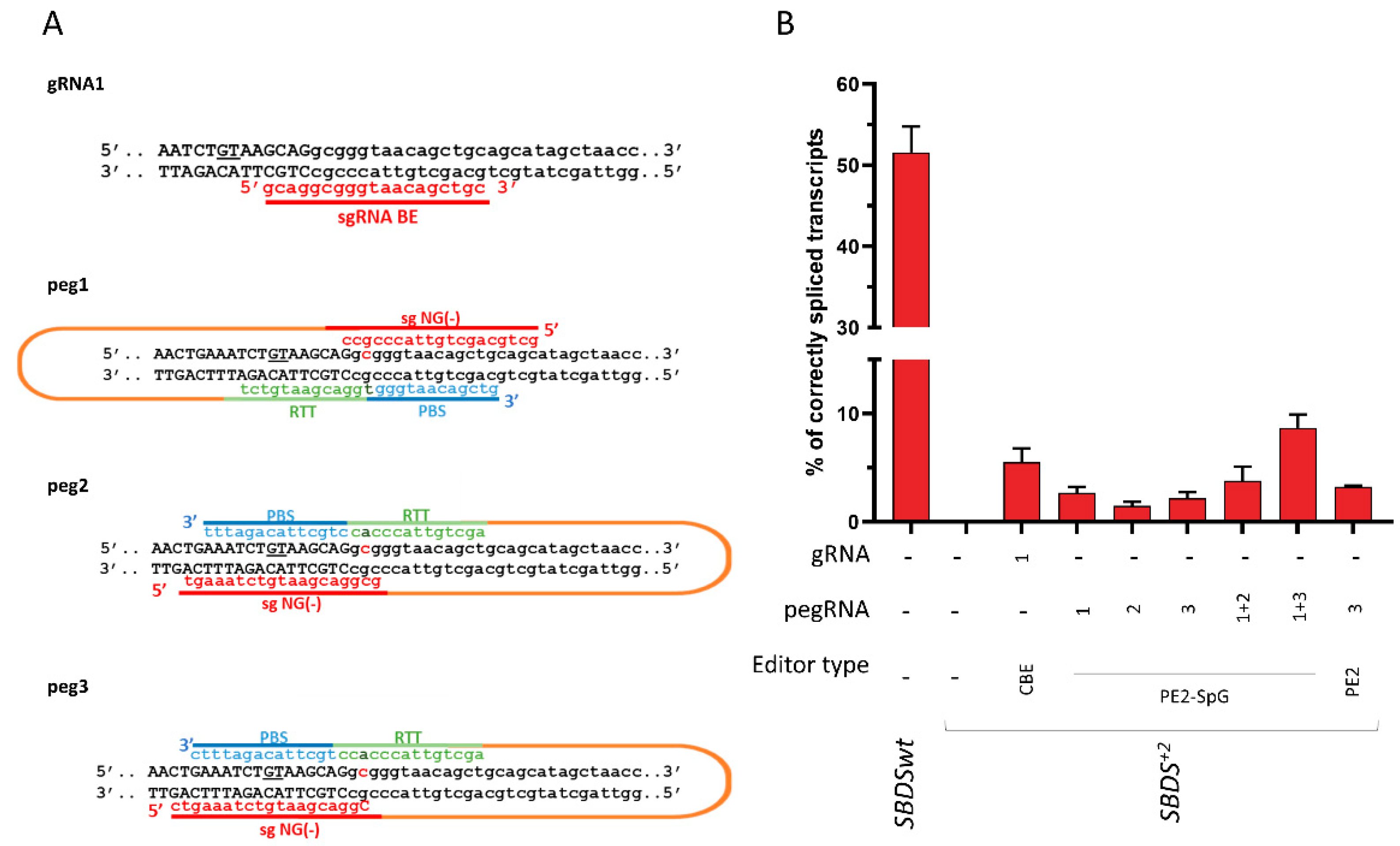 Ijms 24 04024 g004 Ijms 24 04024 g004