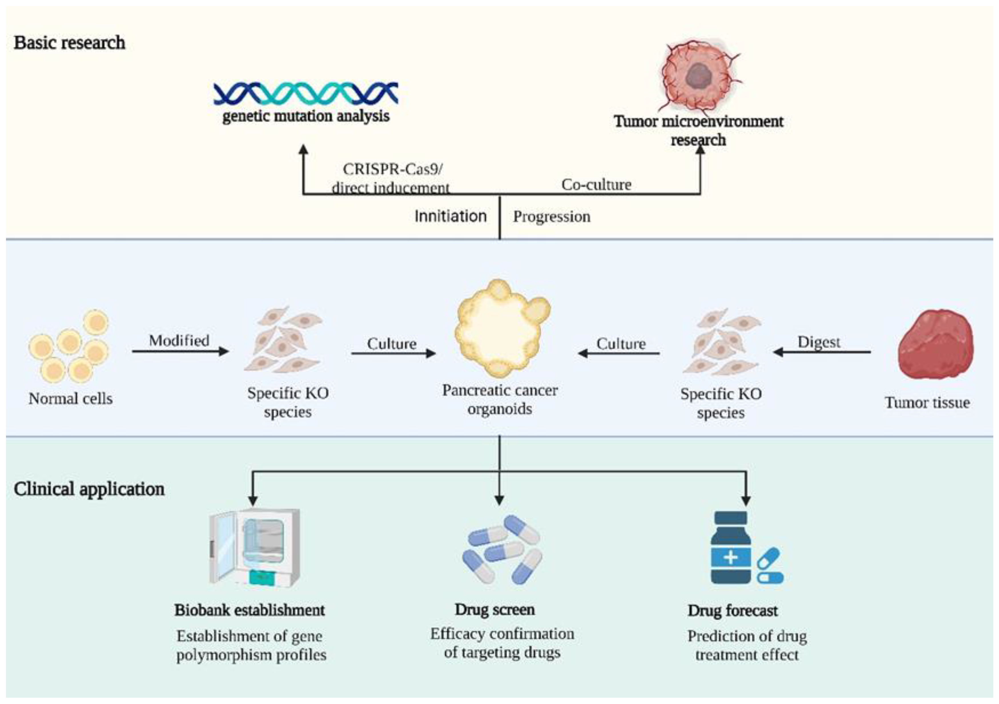 Ijms 24 04027 g002 Ijms 24 04027 g002