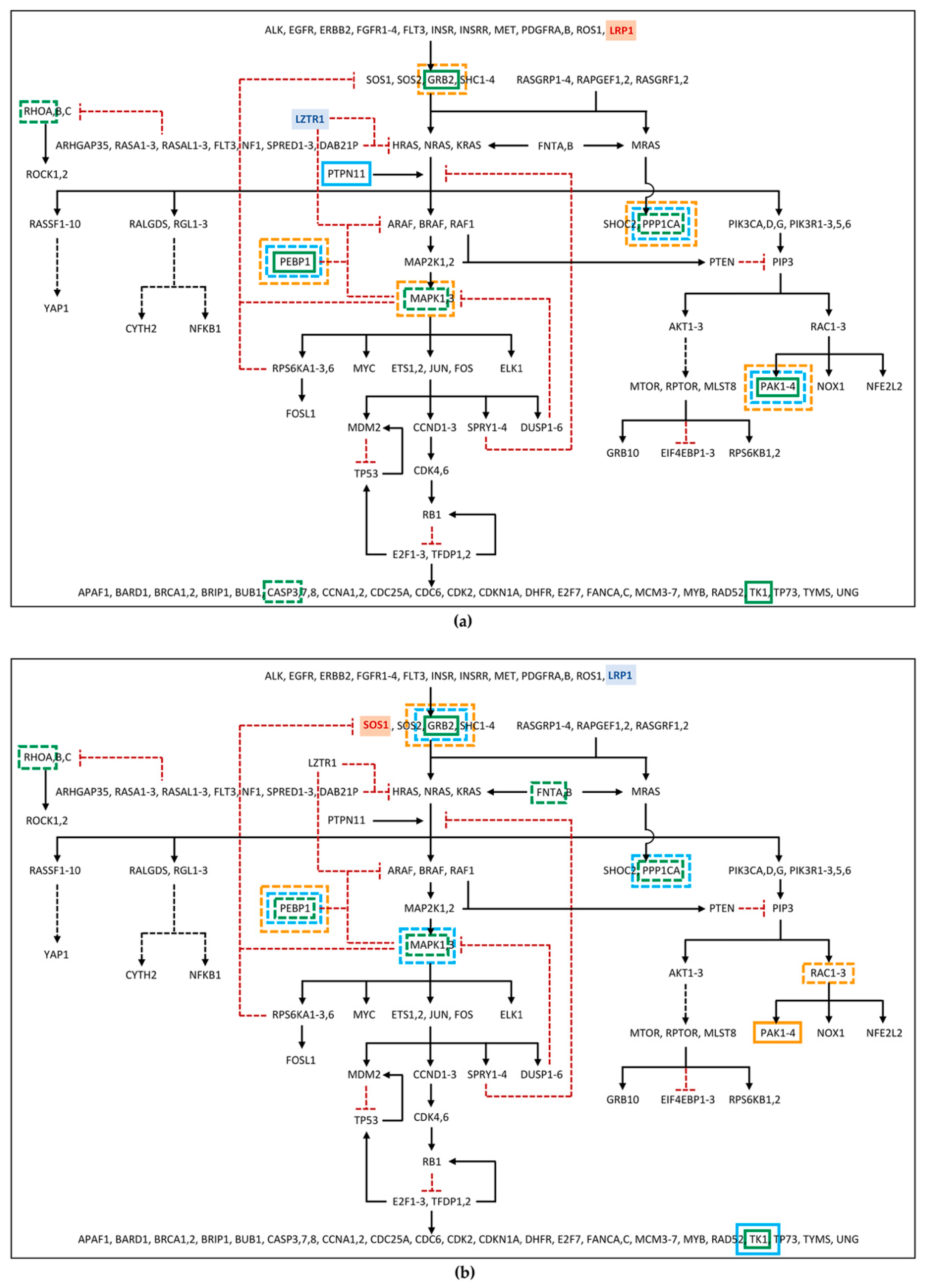 Ijms 24 04035 g002 Ijms 24 04035 g002