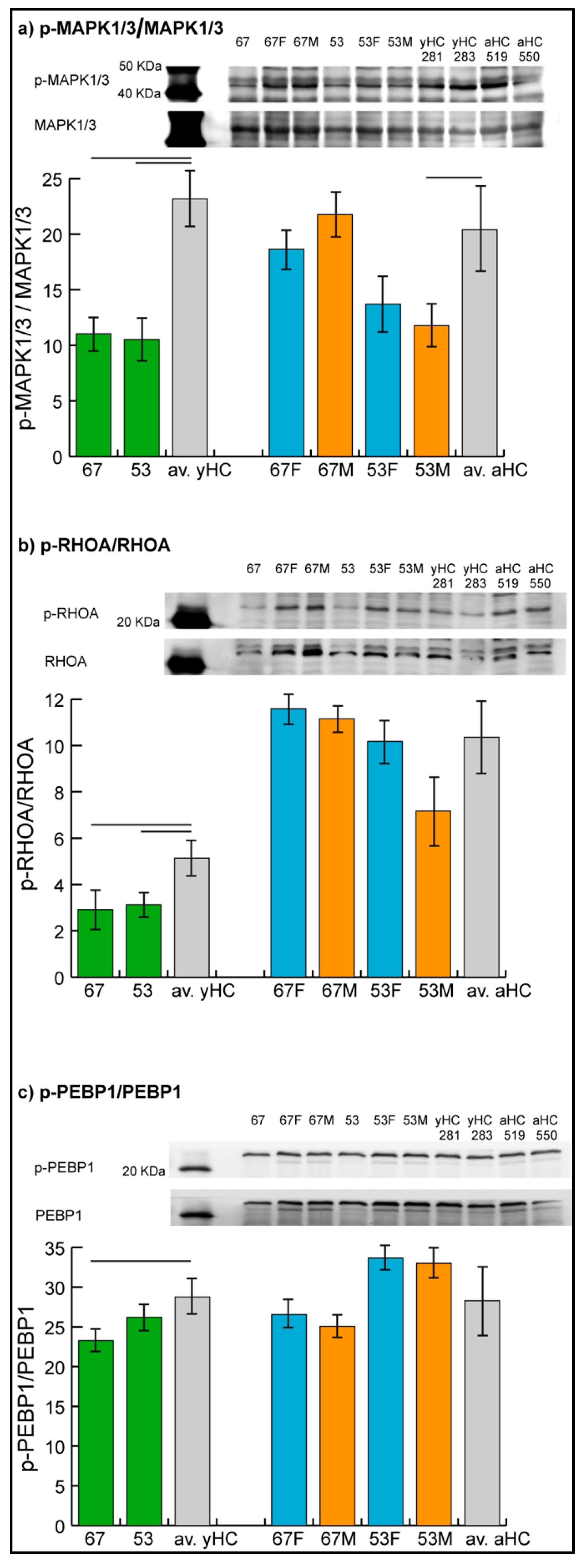 Ijms 24 04035 g003 Ijms 24 04035 g003