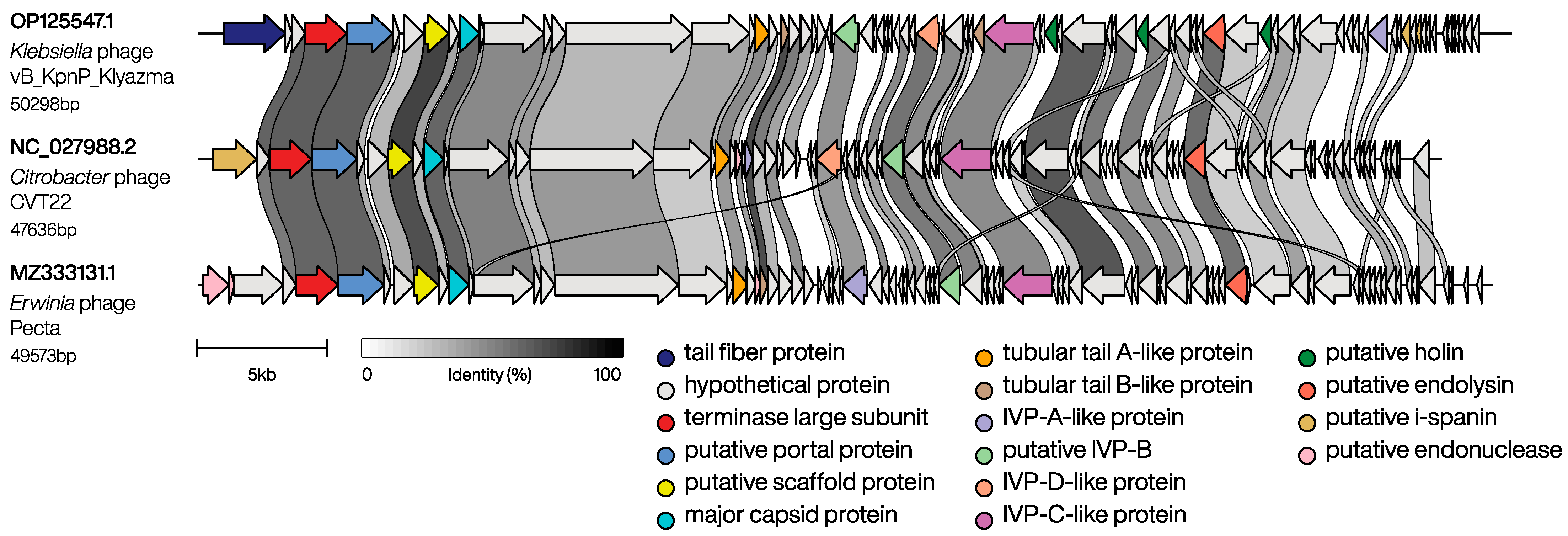 Ijms 24 04038 g002 Ijms 24 04038 g002