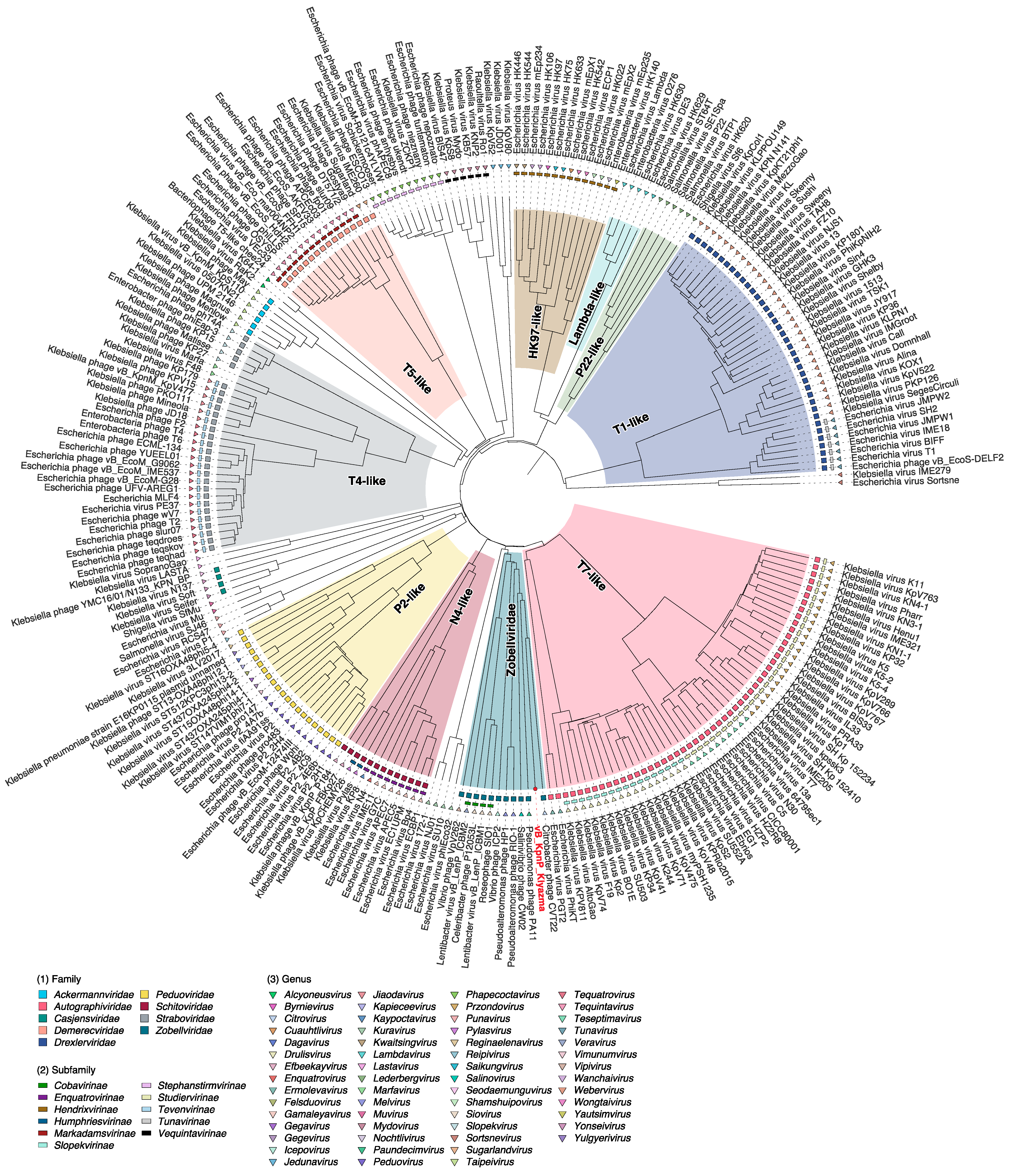 Ijms 24 04038 g003 Ijms 24 04038 g003