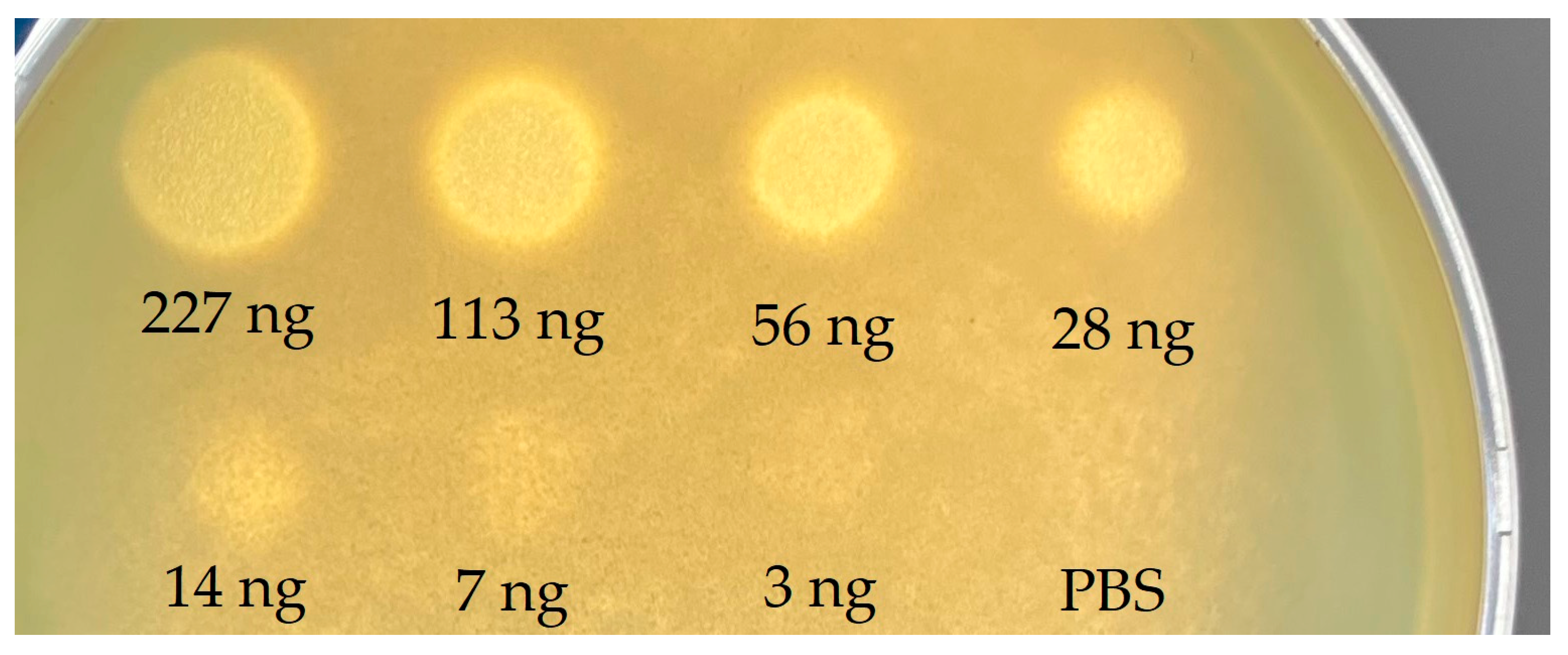 Ijms 24 04038 g004 Ijms 24 04038 g004