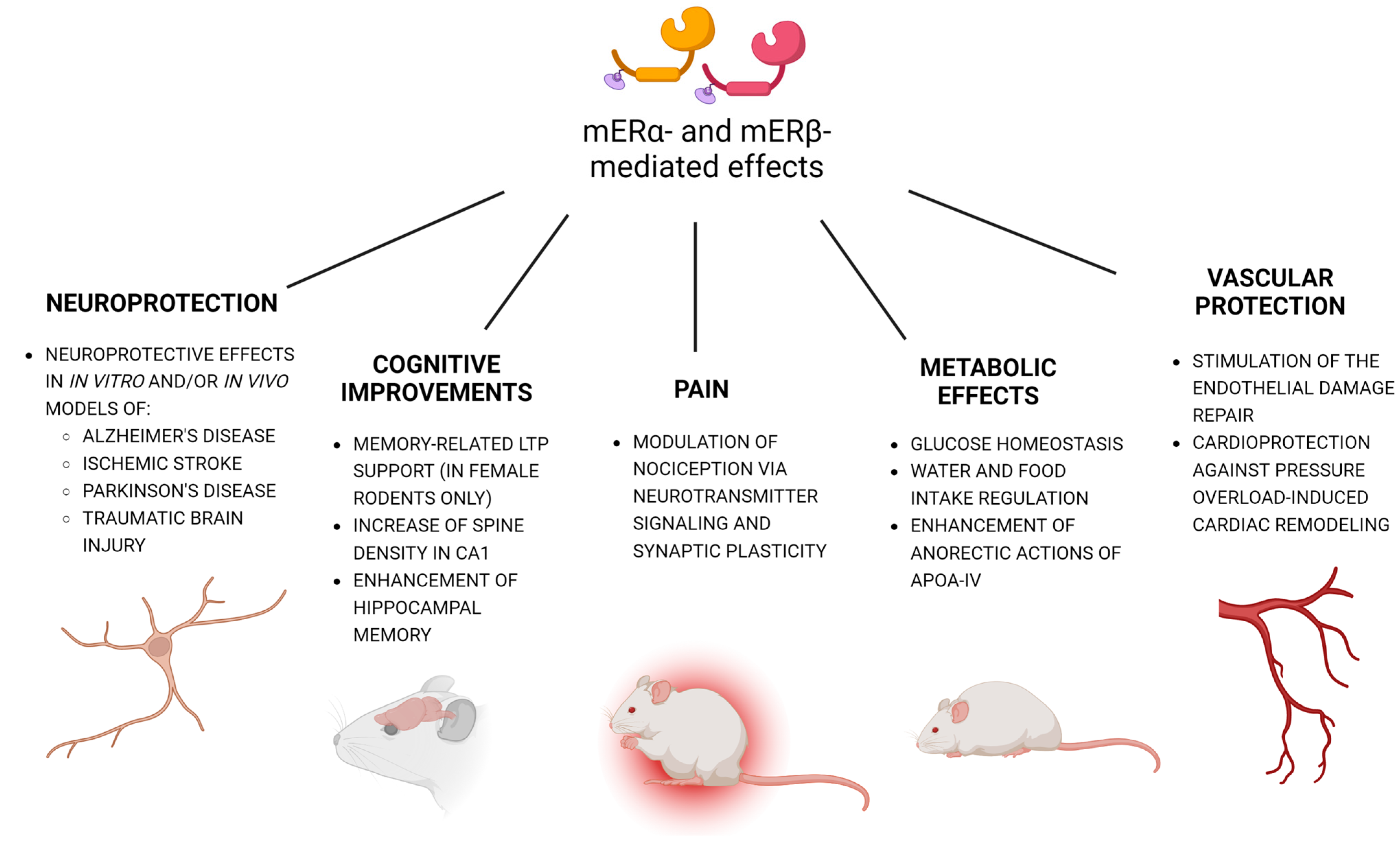 Ijms 24 04043 g003 Ijms 24 04043 g003