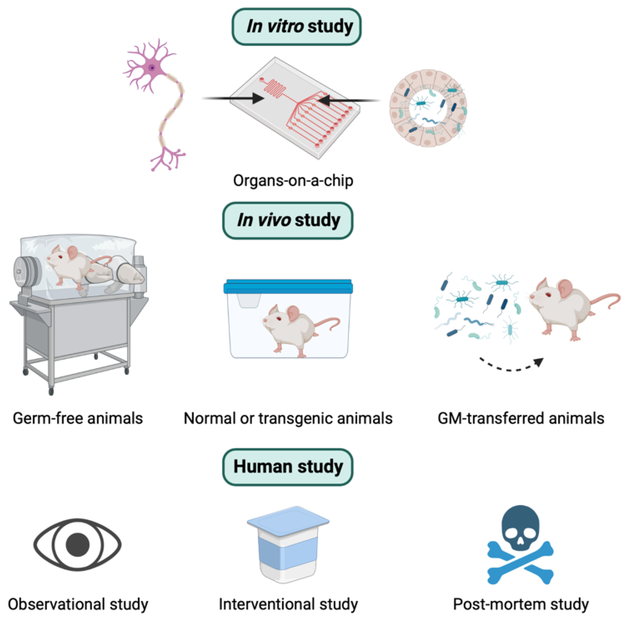 Ijms 24 04047 g002 Ijms 24 04047 g002