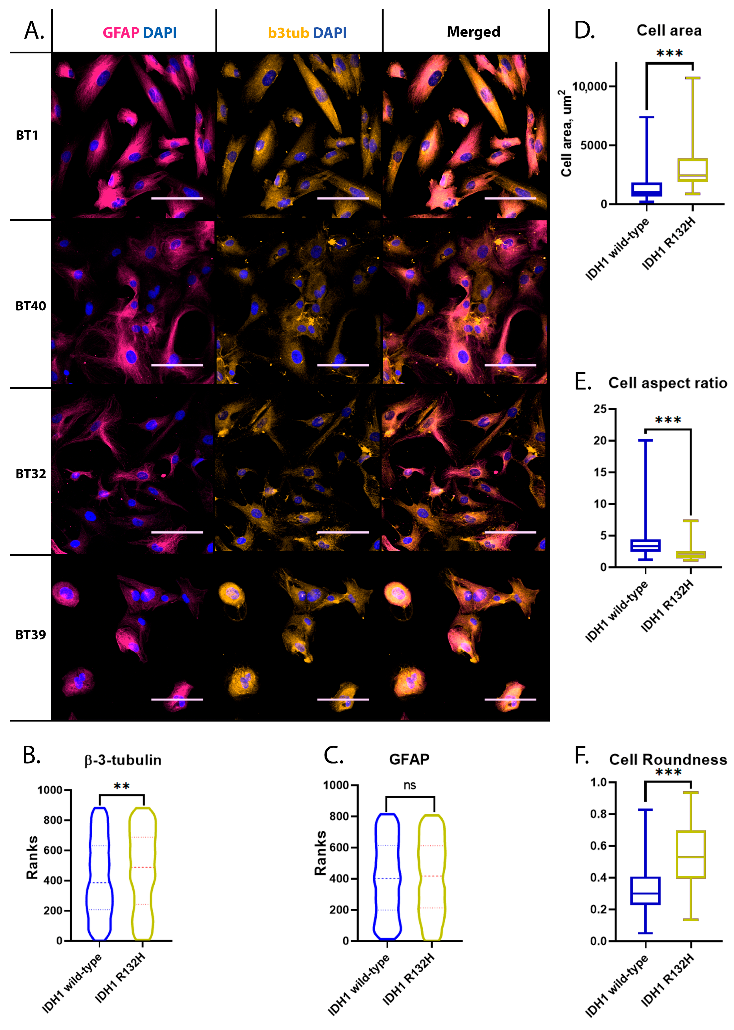 Ijms 24 04056 g001 Ijms 24 04056 g001