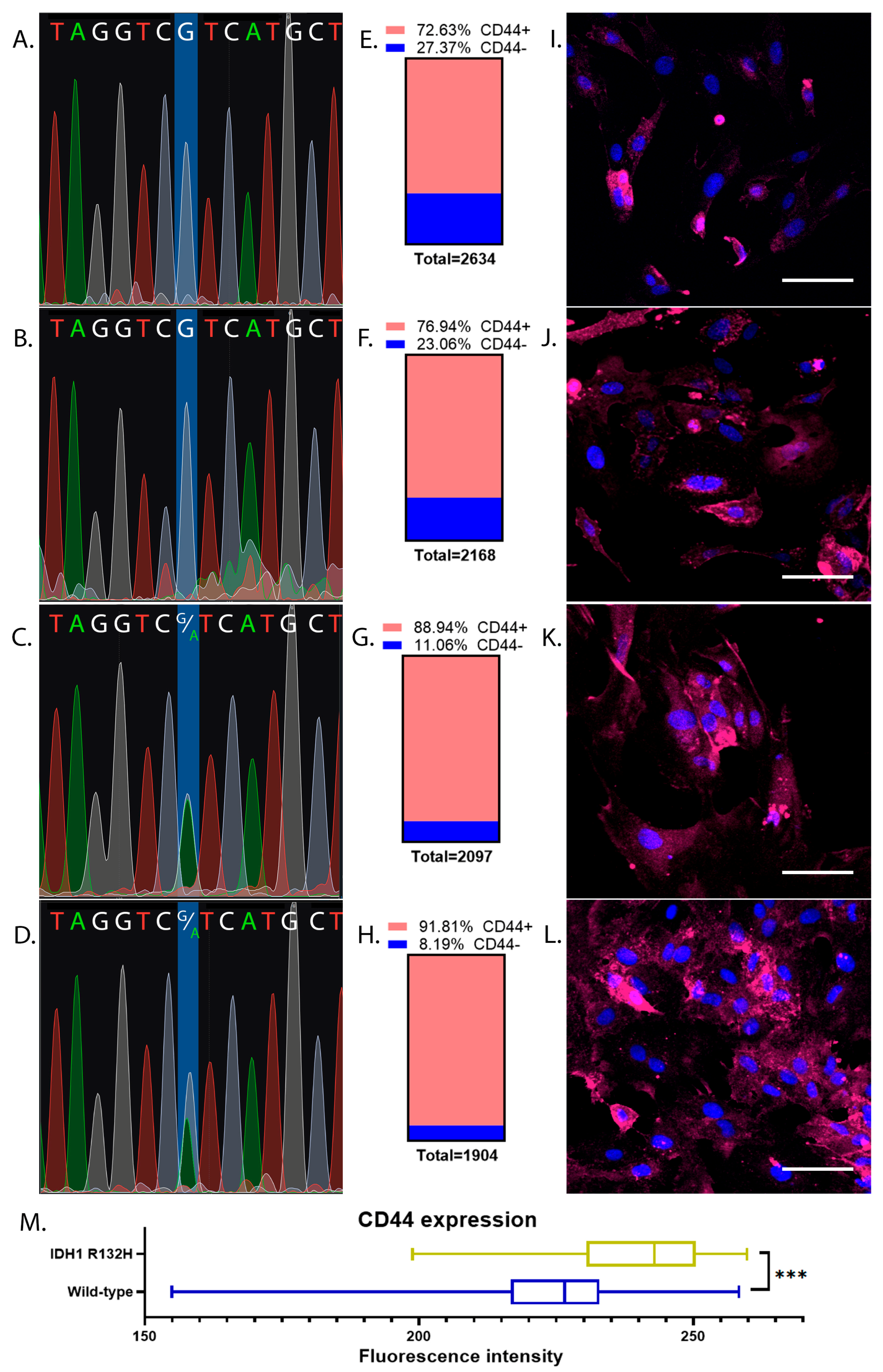 Ijms 24 04056 g002 Ijms 24 04056 g002