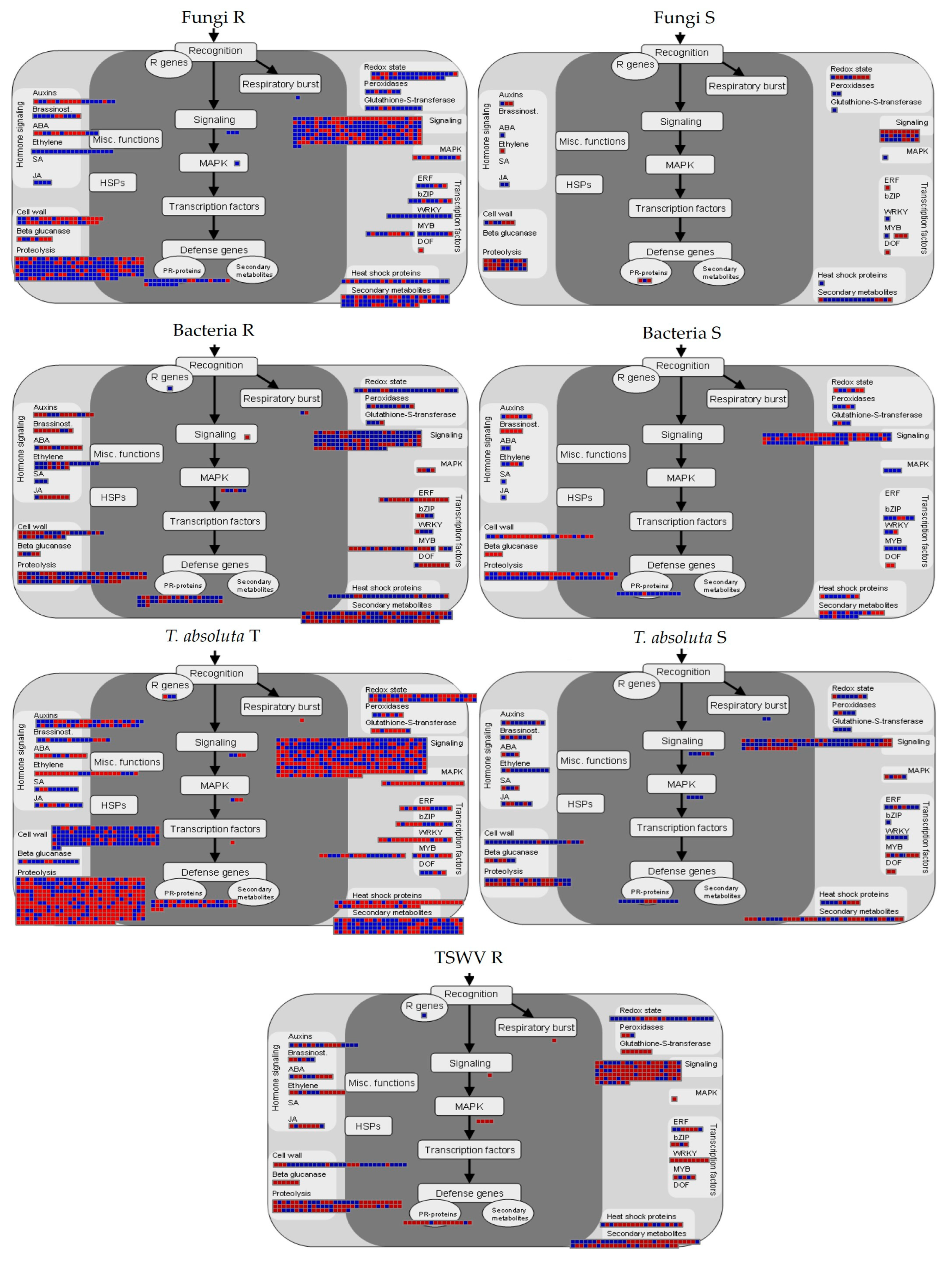 Ijms 24 04061 g003 Ijms 24 04061 g003