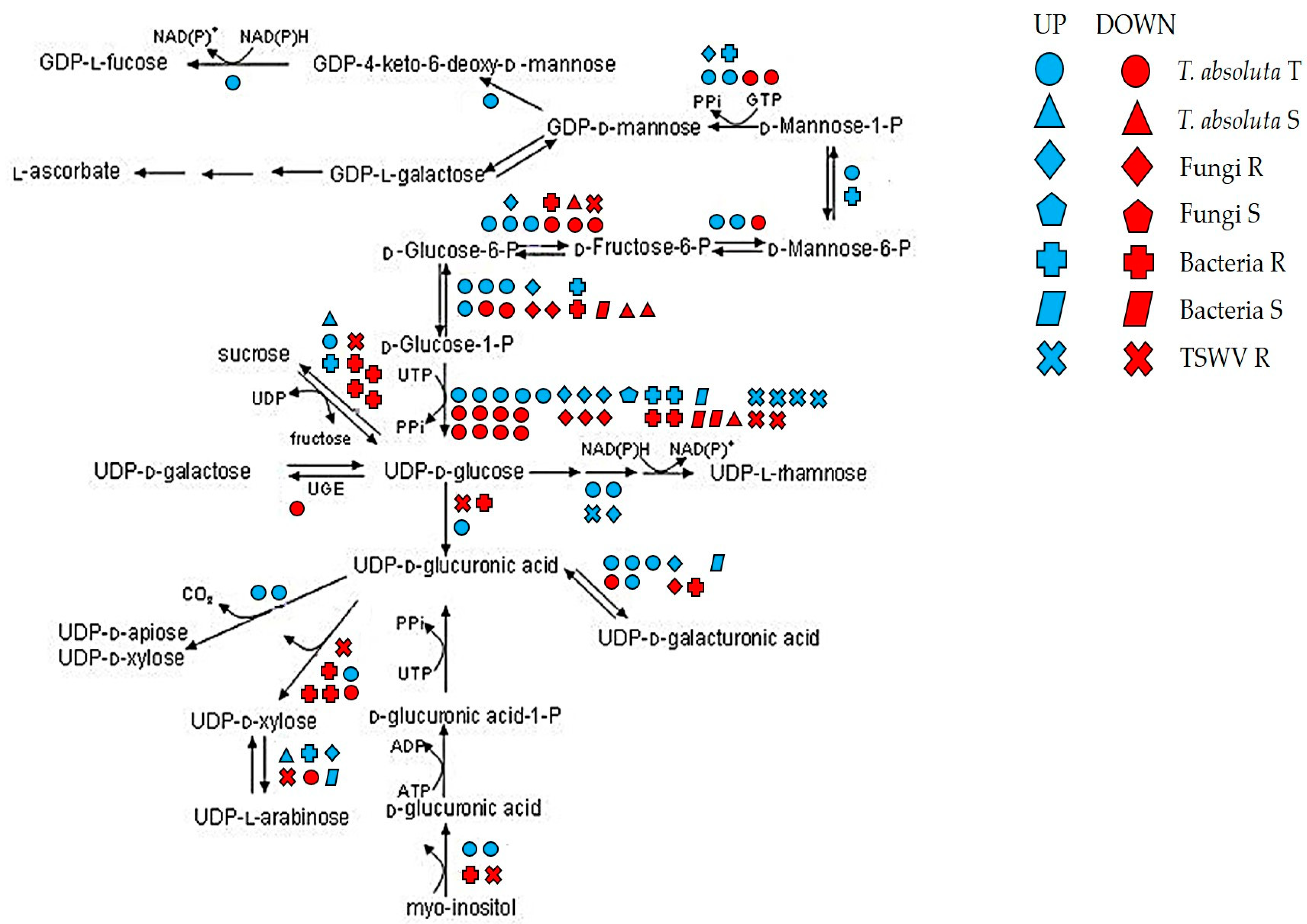 Ijms 24 04061 g004 Ijms 24 04061 g004