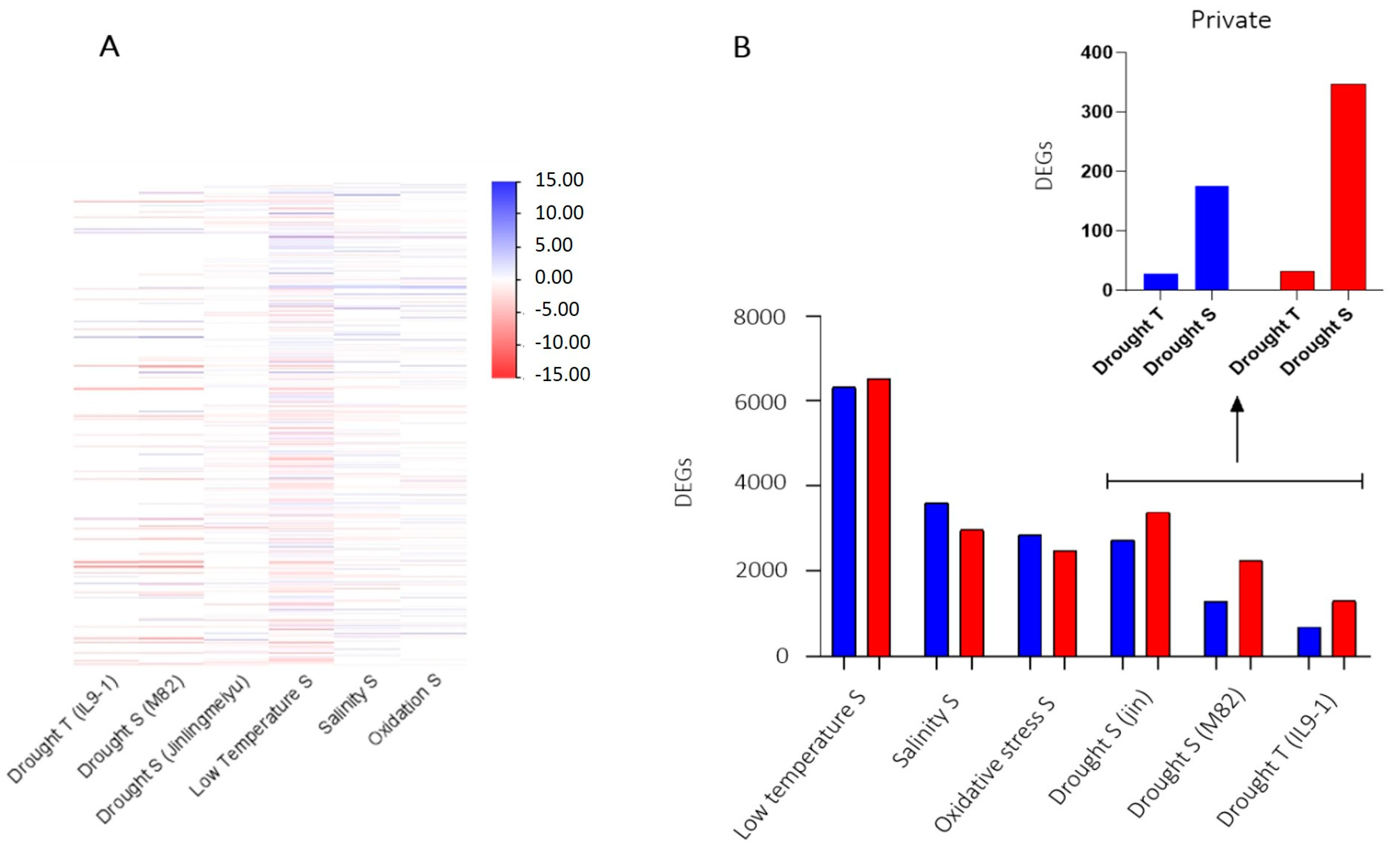 Ijms 24 04061 g006 Ijms 24 04061 g006