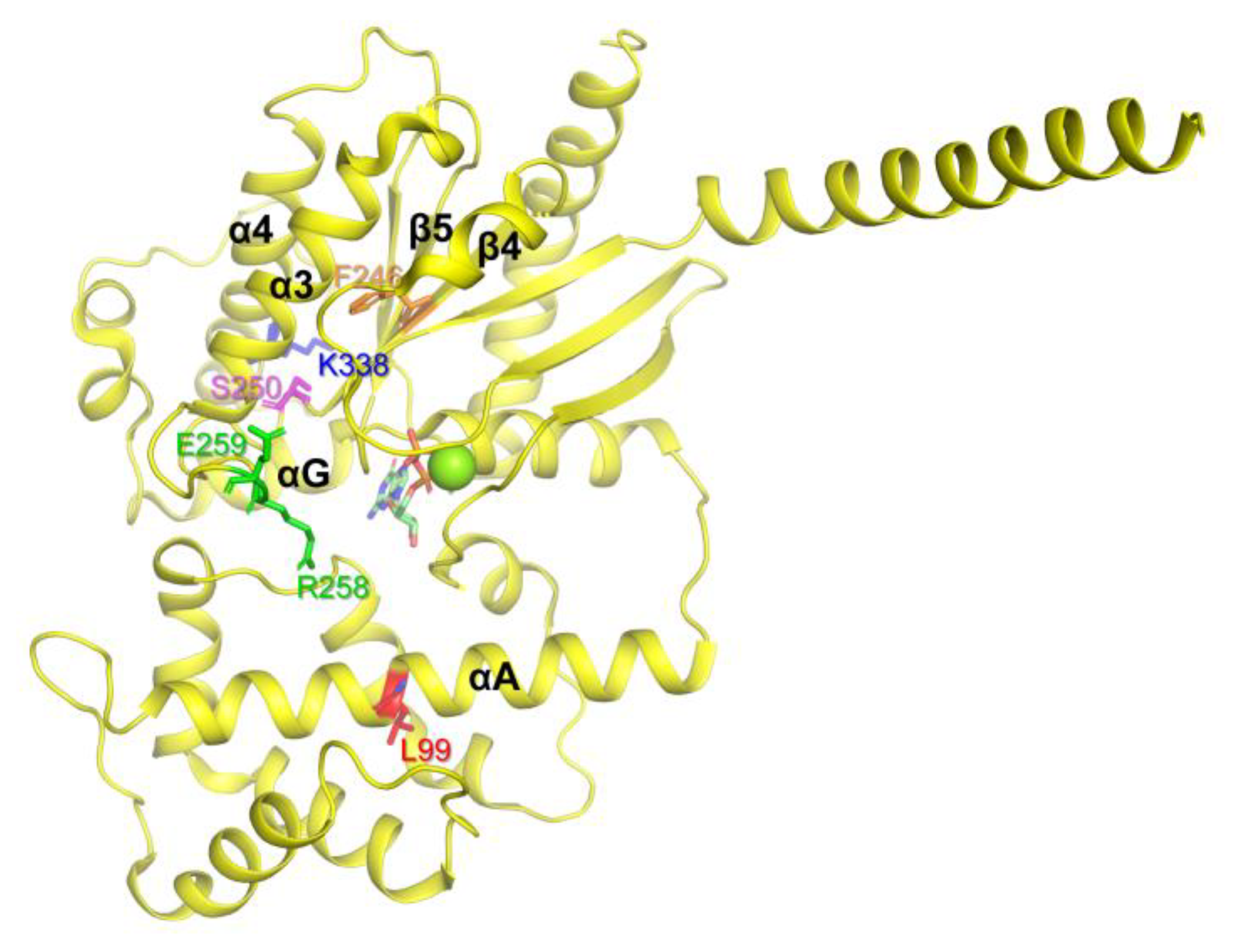 Ijms 24 04064 g002 Ijms 24 04064 g002