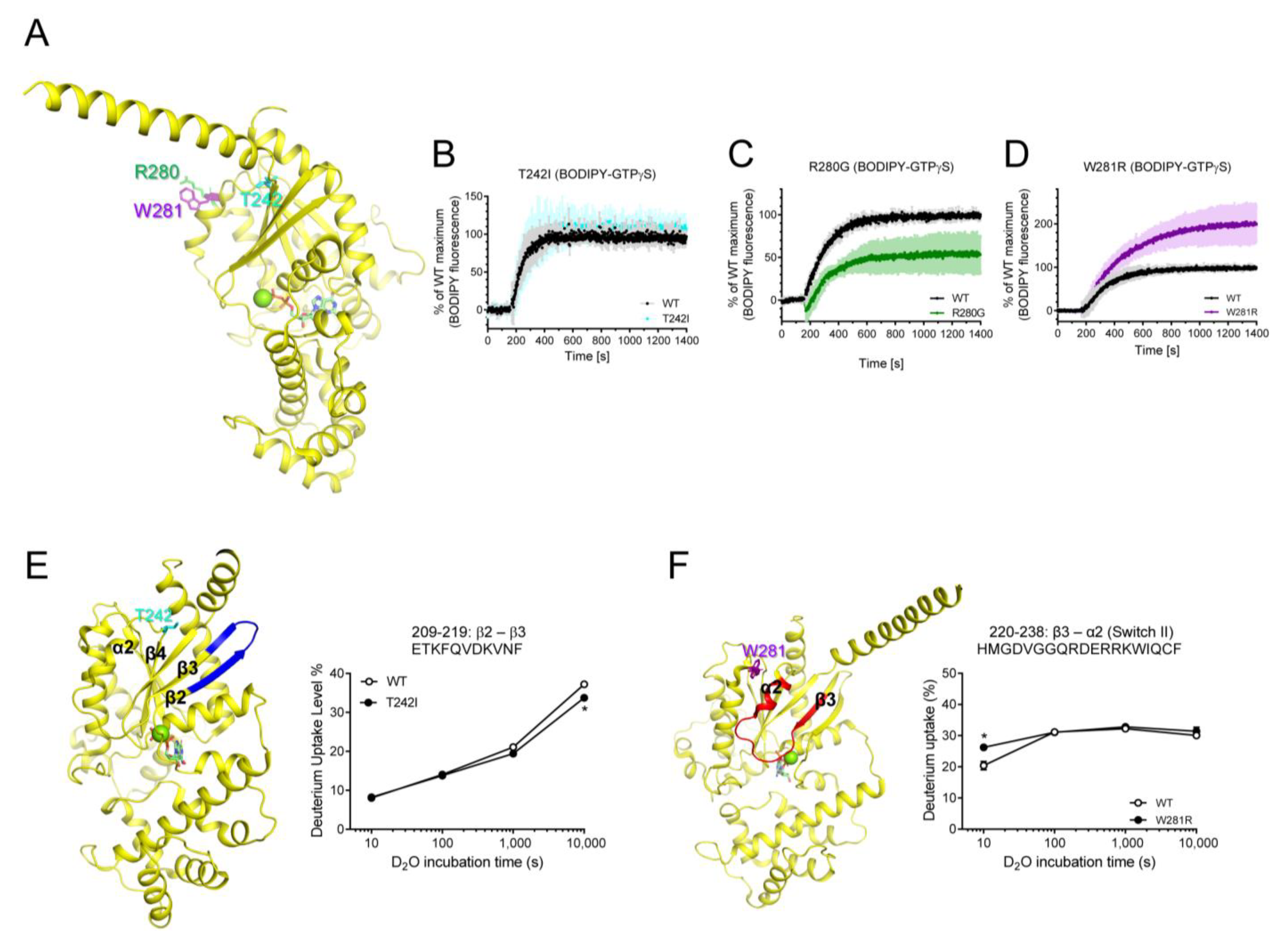 Ijms 24 04064 g005 Ijms 24 04064 g005