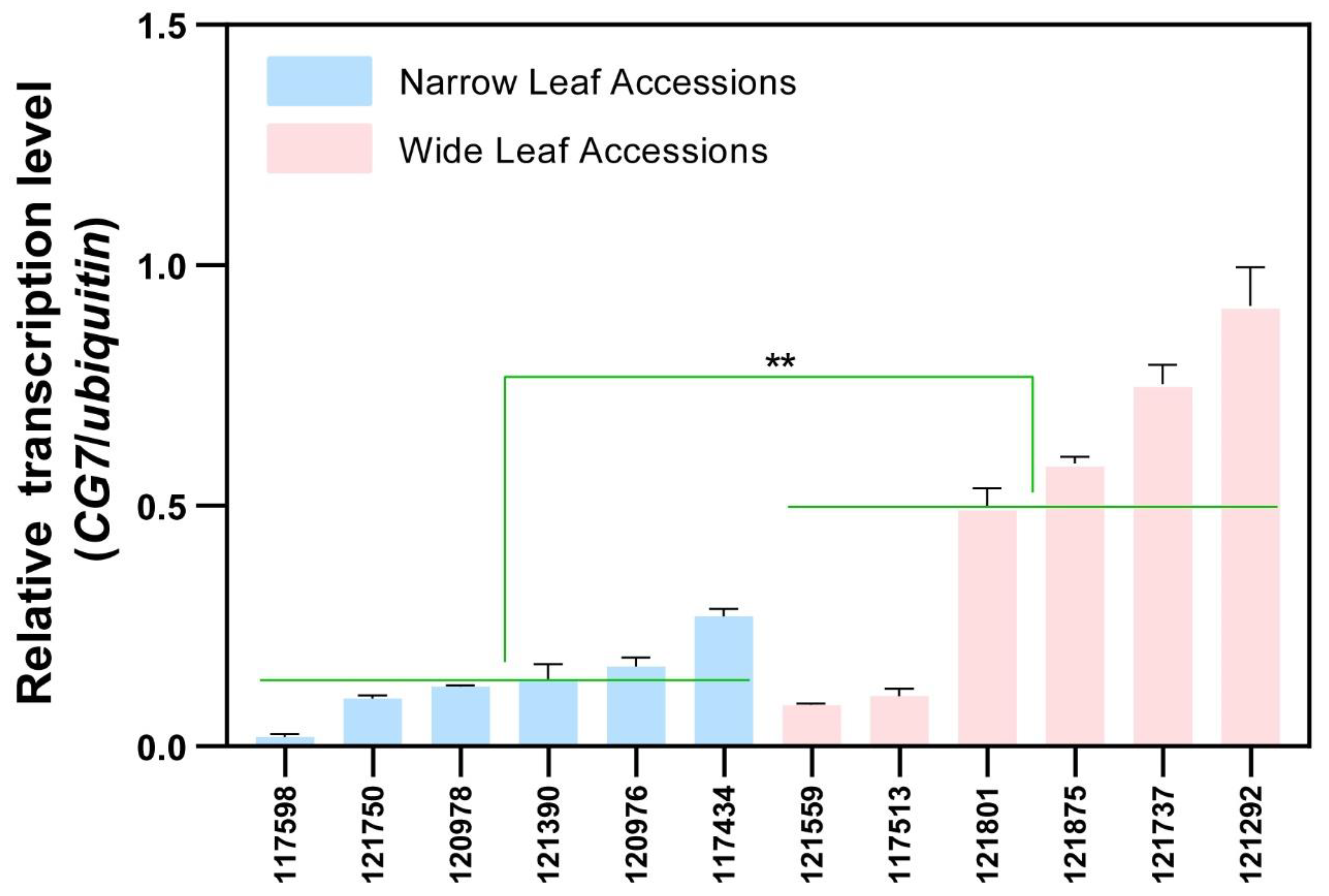 Ijms 24 04073 g003 Ijms 24 04073 g003