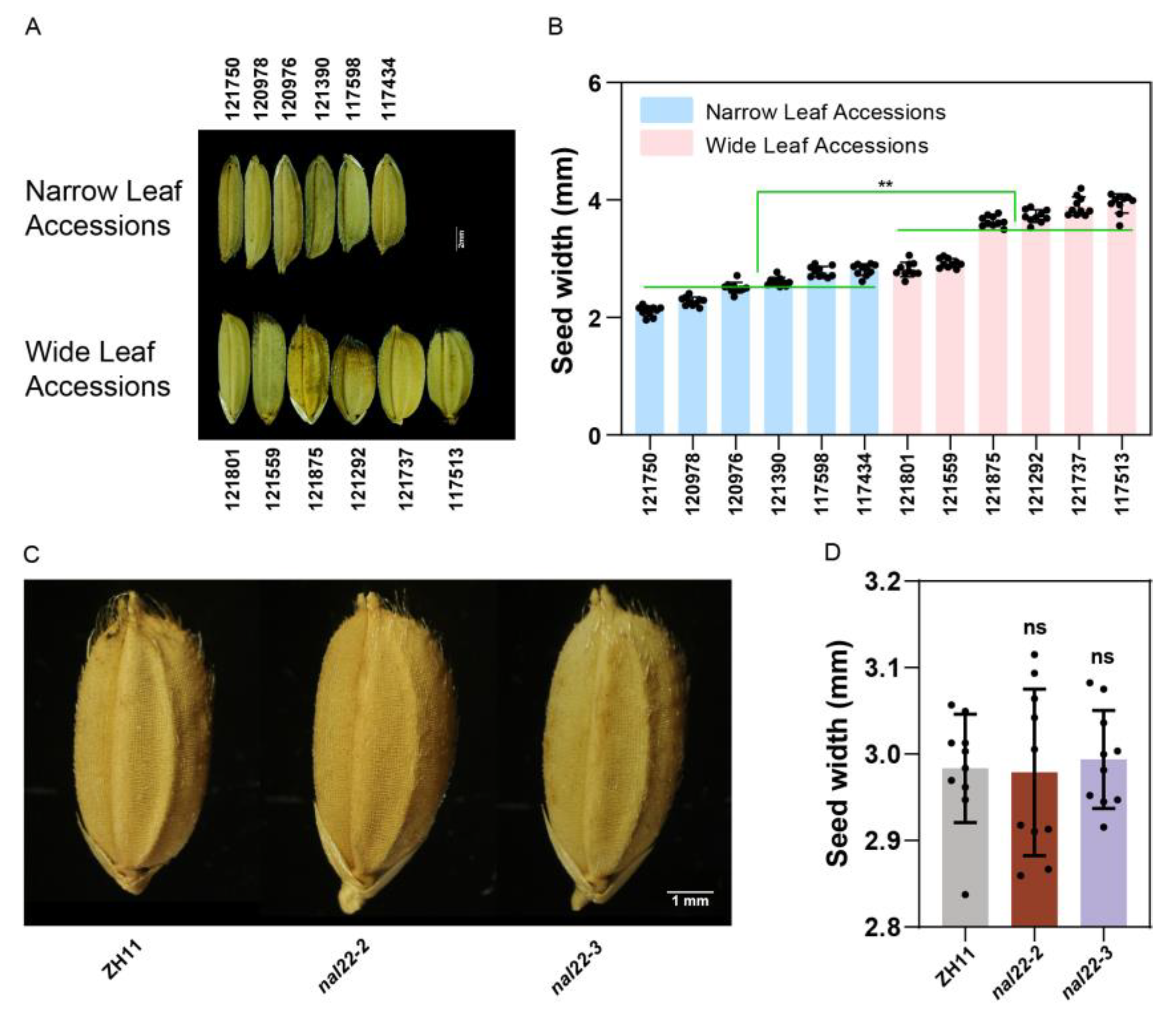 Ijms 24 04073 g005 Ijms 24 04073 g005