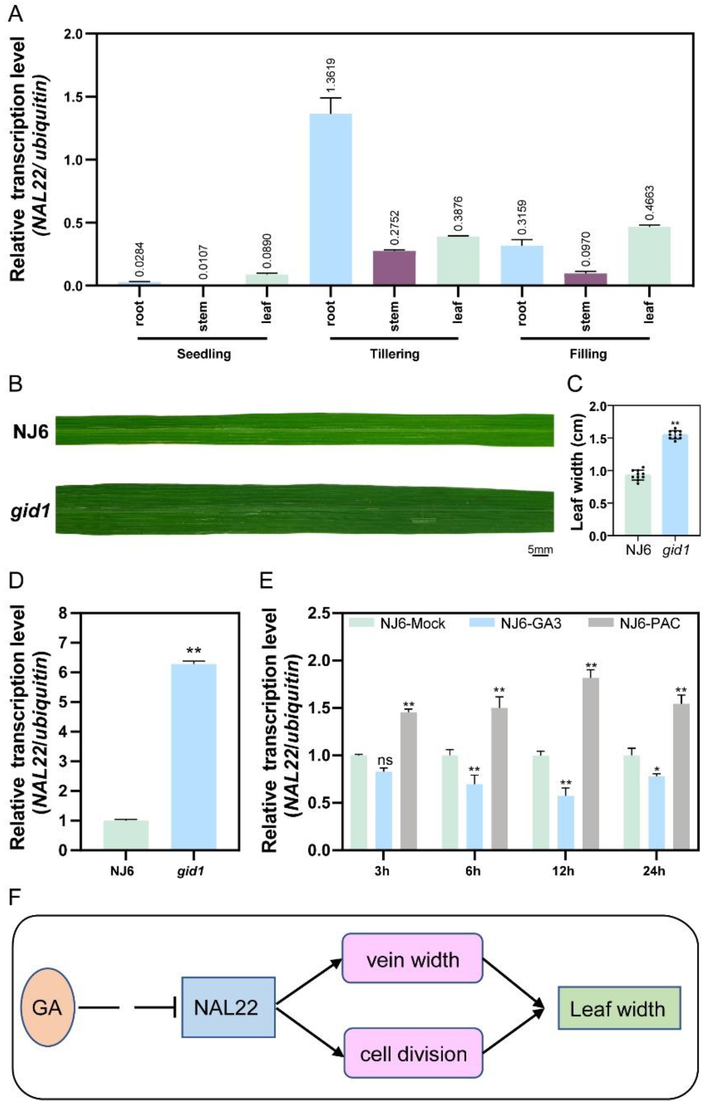 Ijms 24 04073 g007 Ijms 24 04073 g007