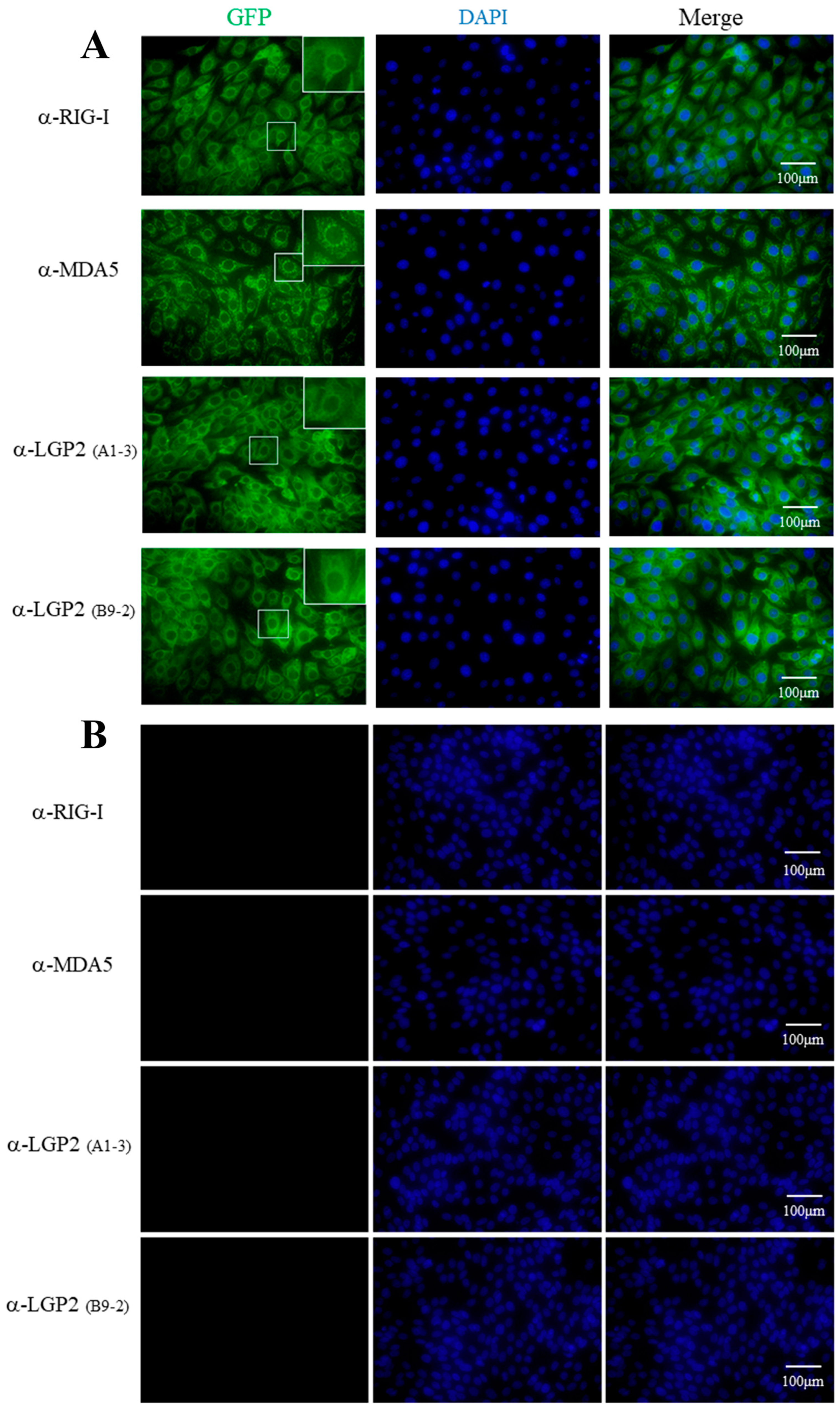 Ijms 24 04118 g003 Ijms 24 04118 g003