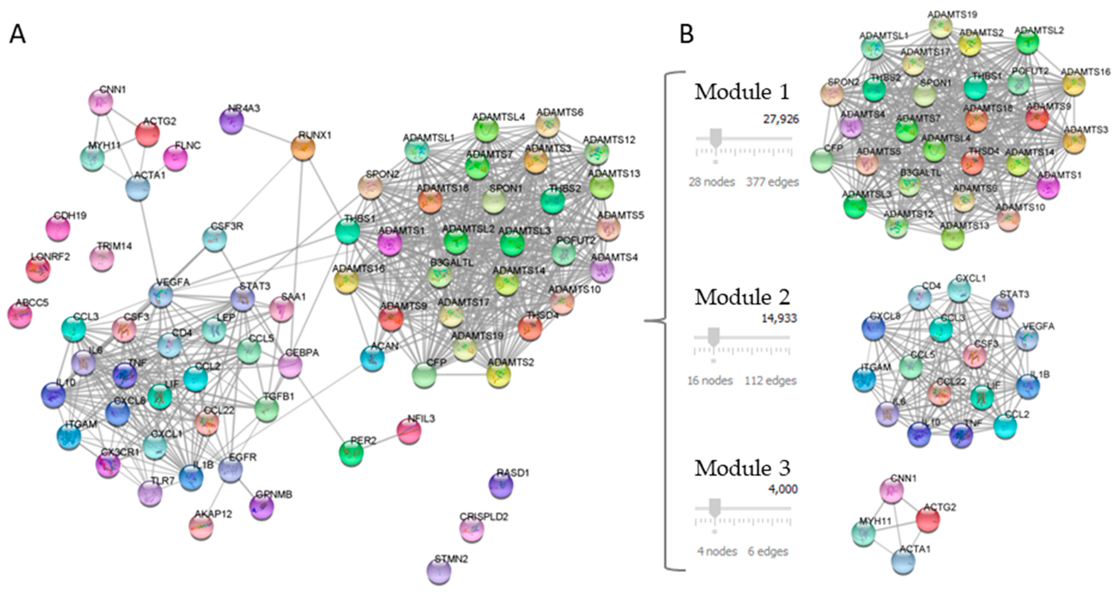 Ijms 24 04124 g002 Ijms 24 04124 g002