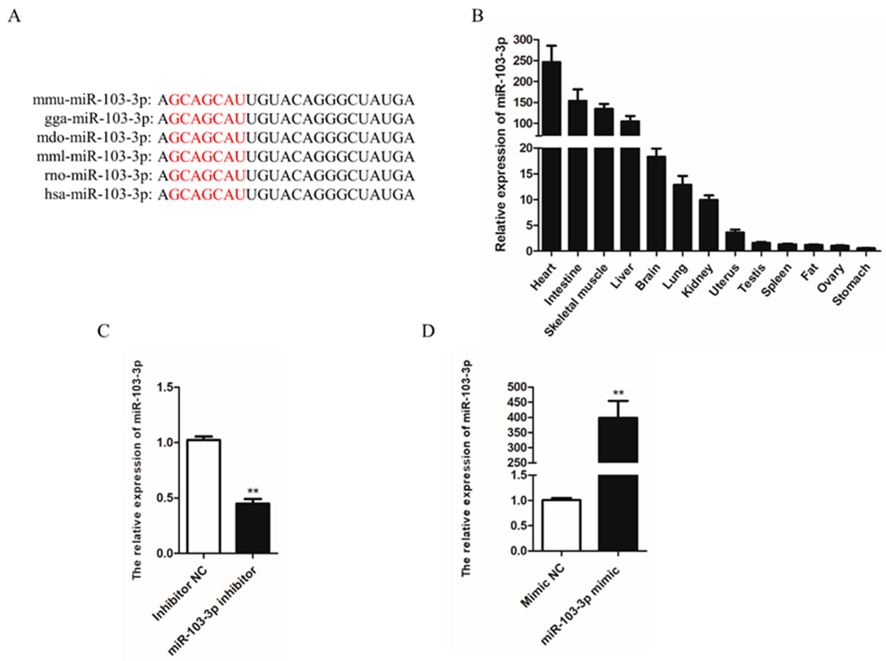Ijms 24 04130 g001 Ijms 24 04130 g001