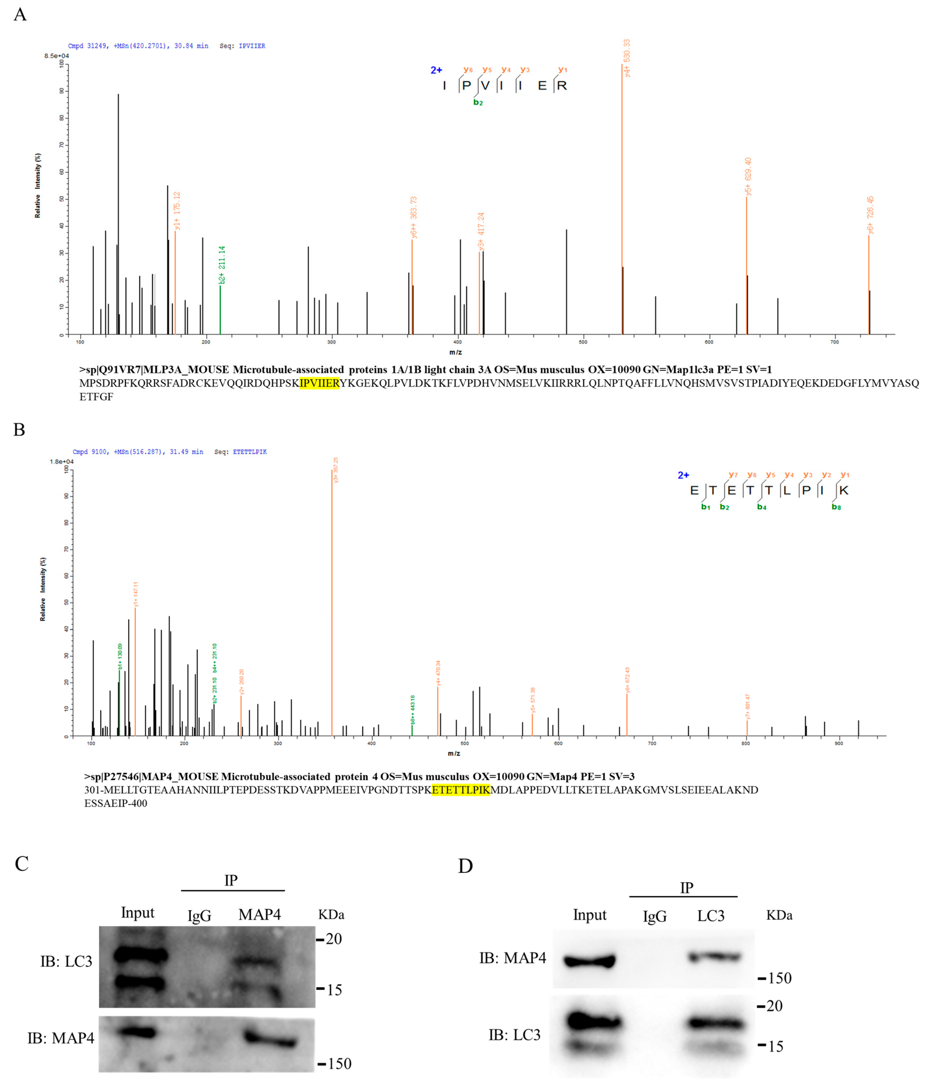 Ijms 24 04130 g007a Ijms 24 04130 g007a