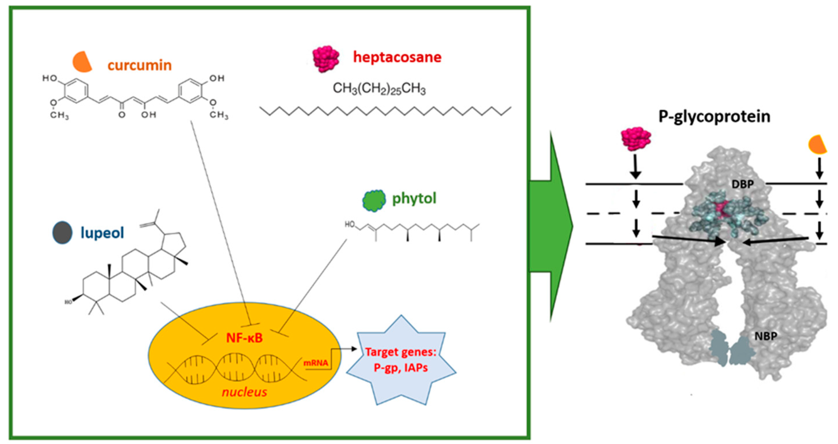 Ijms 24 04140 g001 Ijms 24 04140 g001