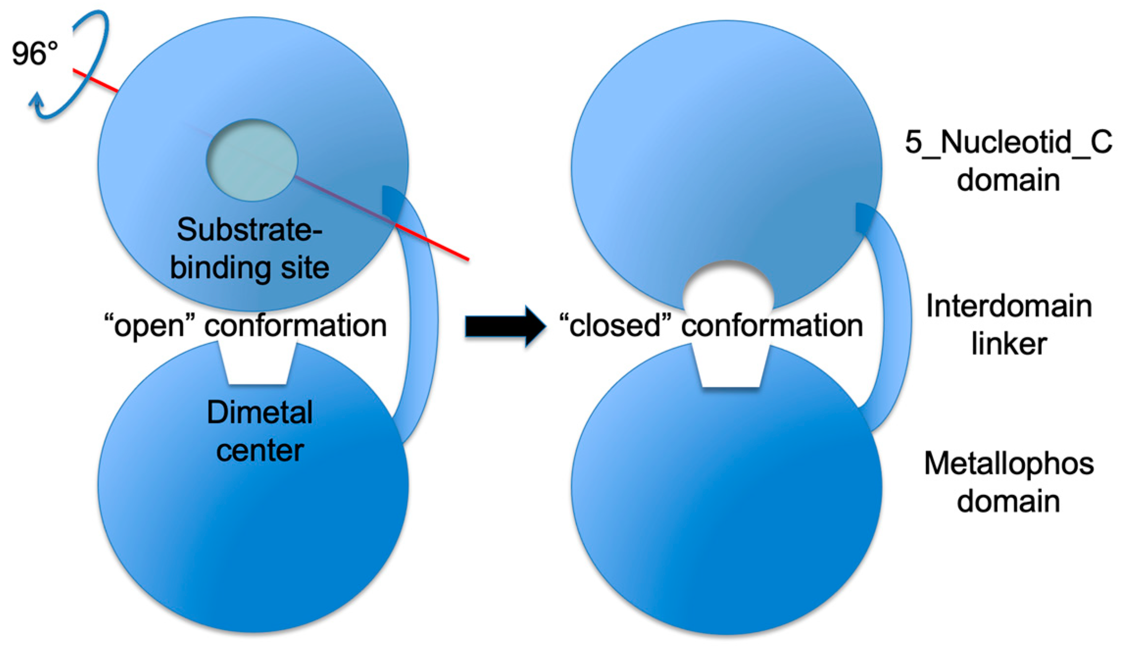 Ijms 24 04150 sch002