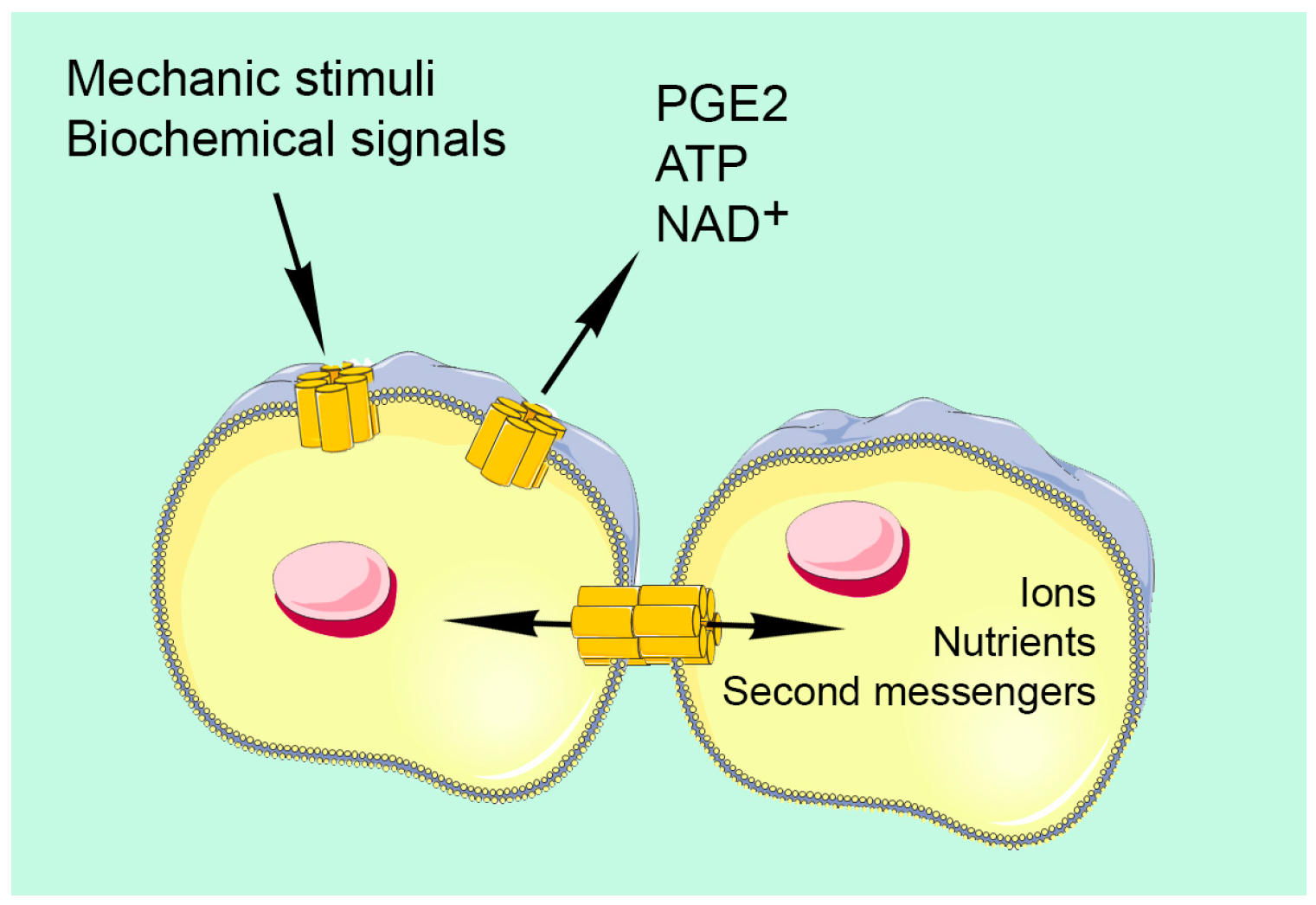 Ijms 24 04156 g001 Ijms 24 04156 g001