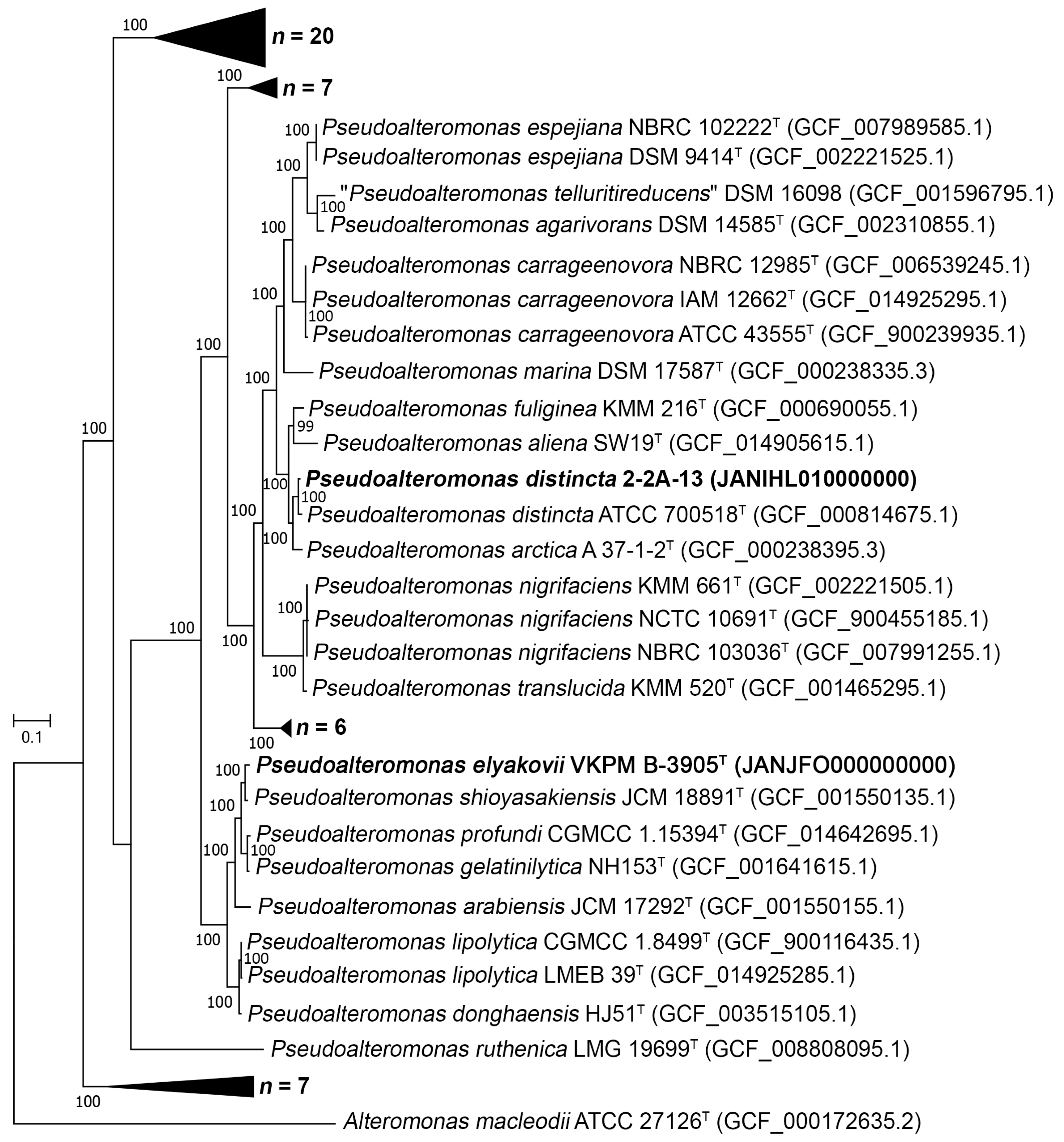 Ijms 24 04158 g002 Ijms 24 04158 g002