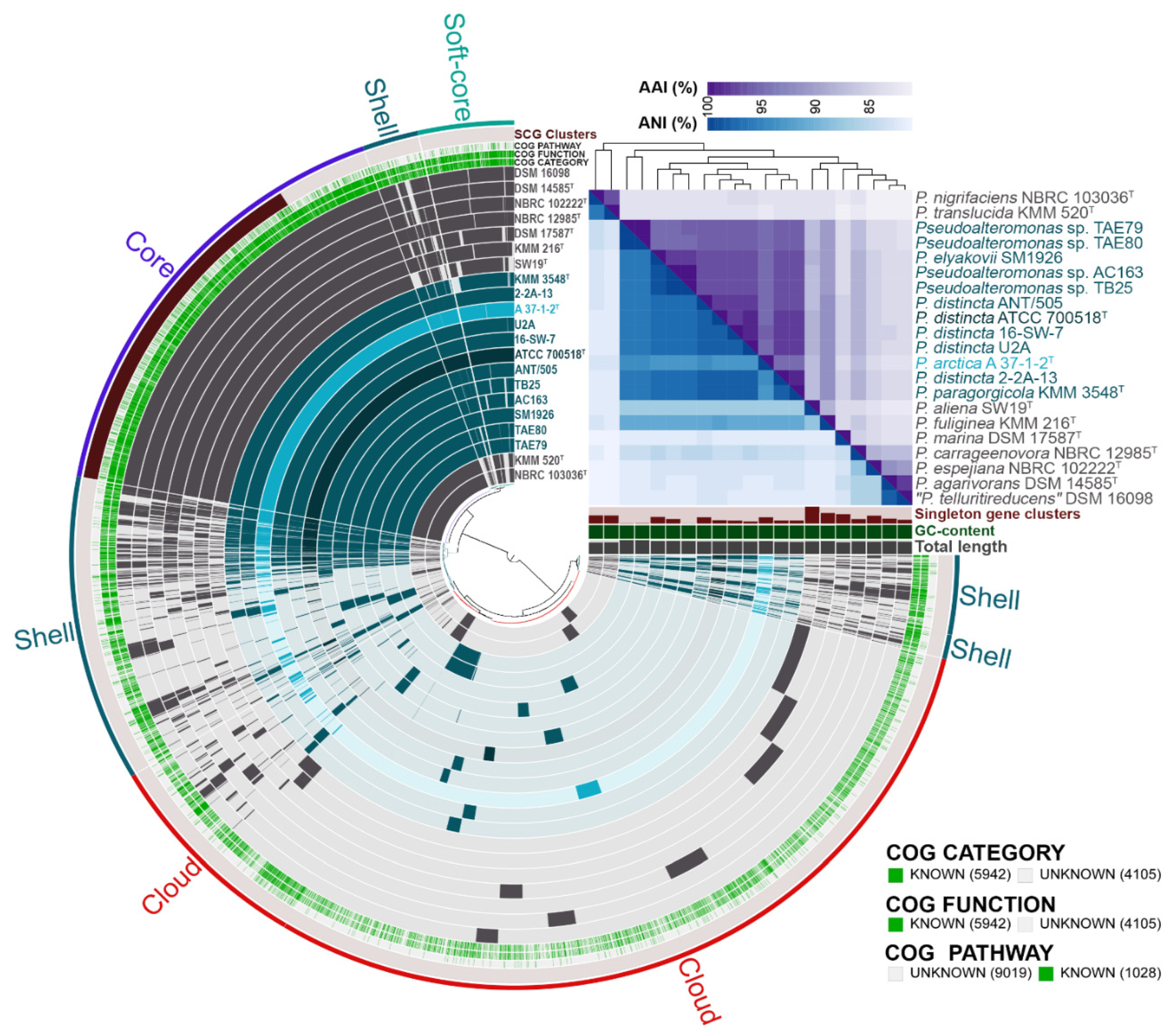 Ijms 24 04158 g004 Ijms 24 04158 g004